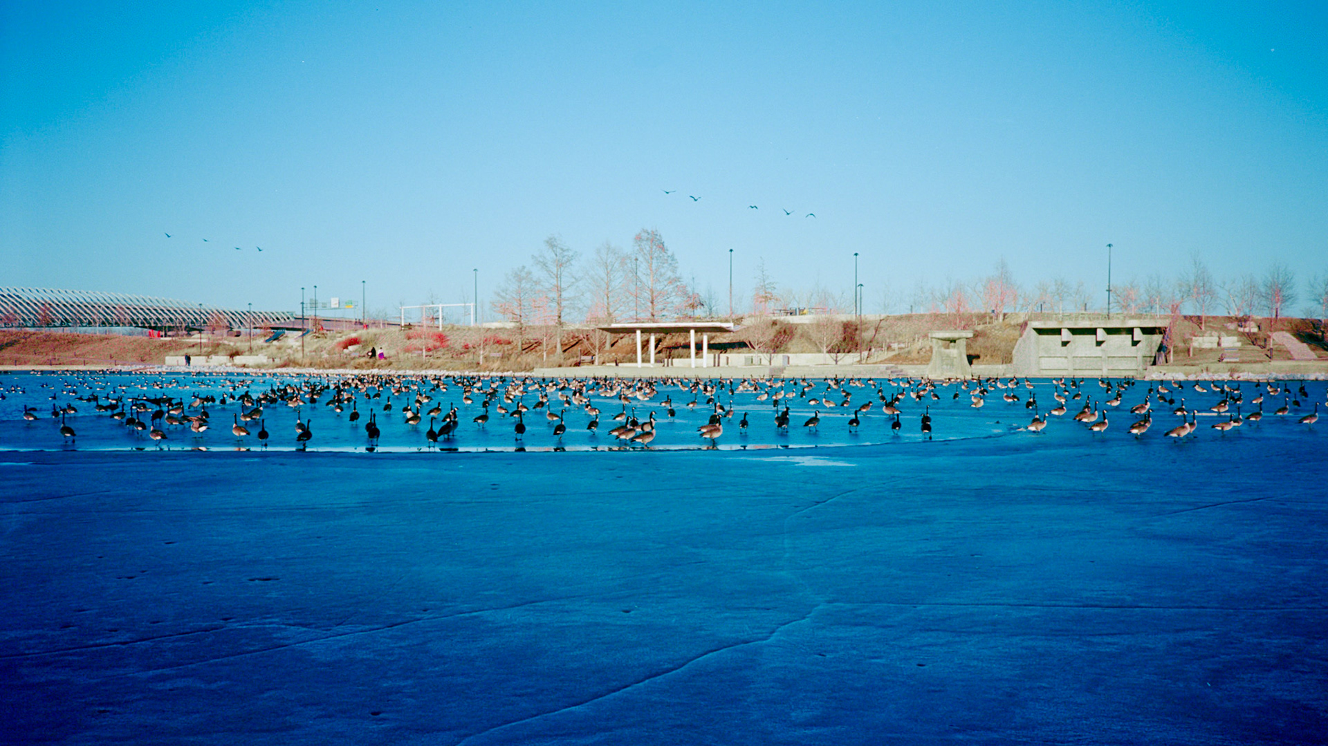 and the beat goes on.. - Image 14