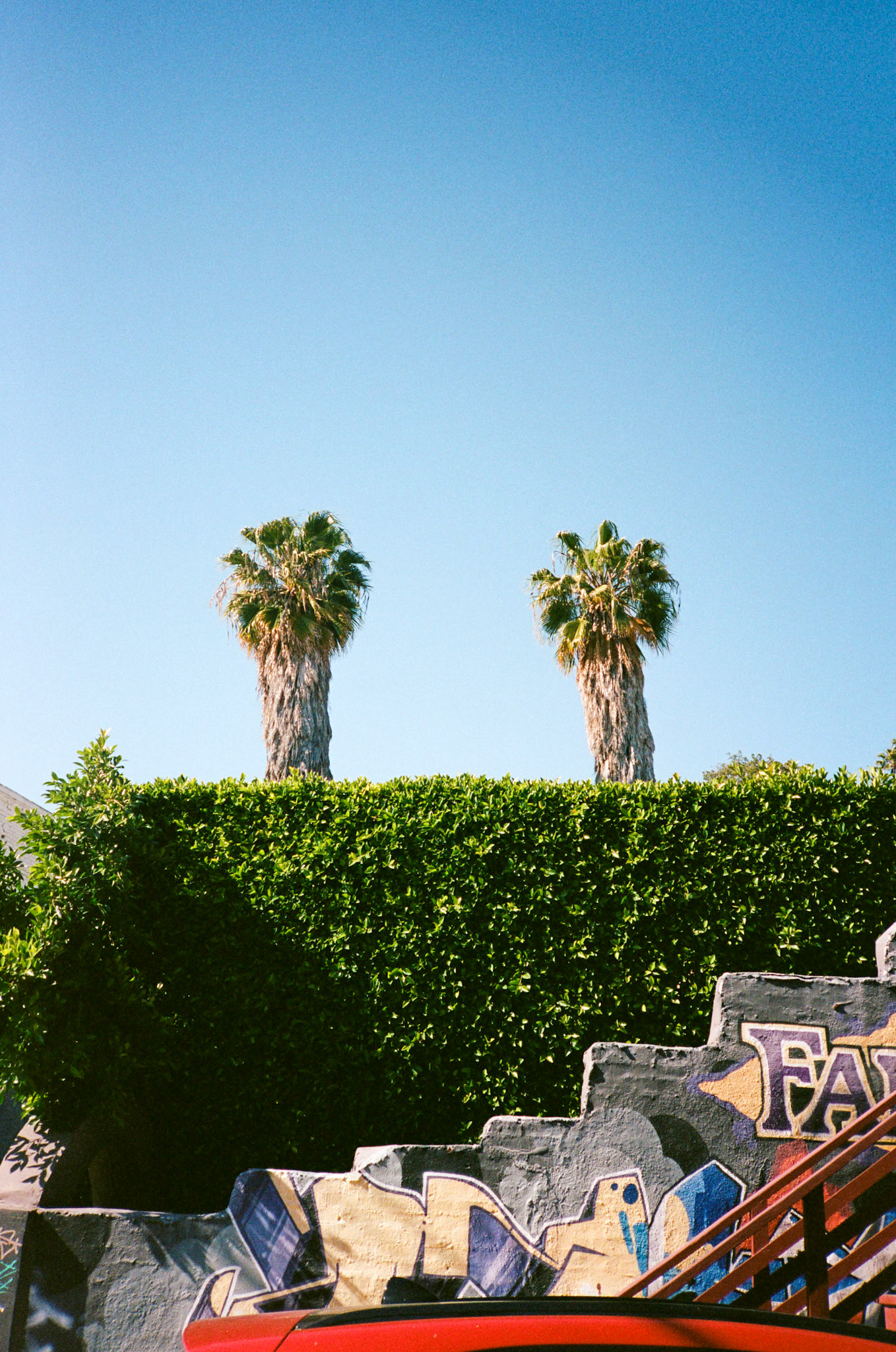 i guess we just go get 'em - Image 127