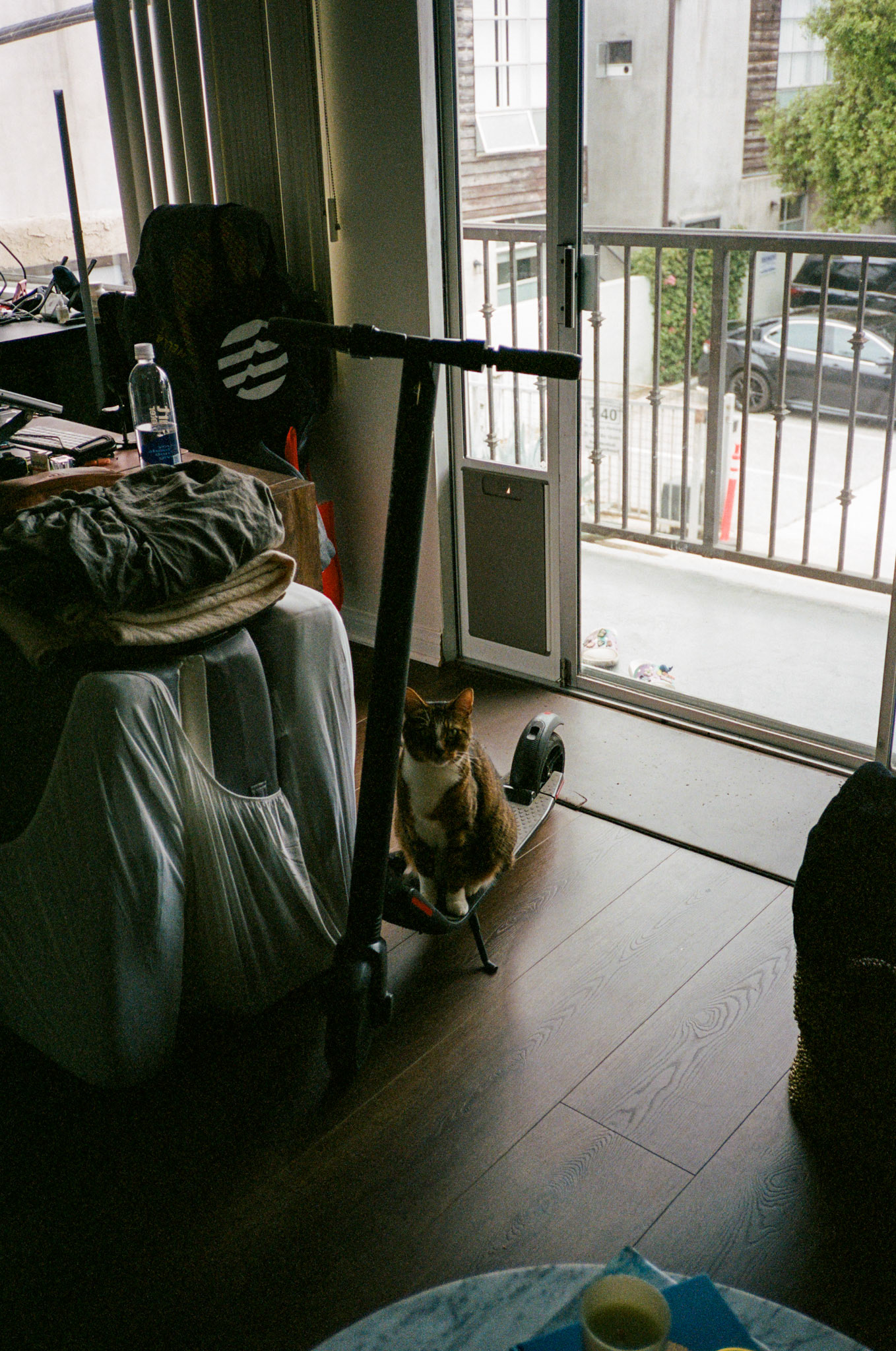 i guess we just go get 'em - Image 141