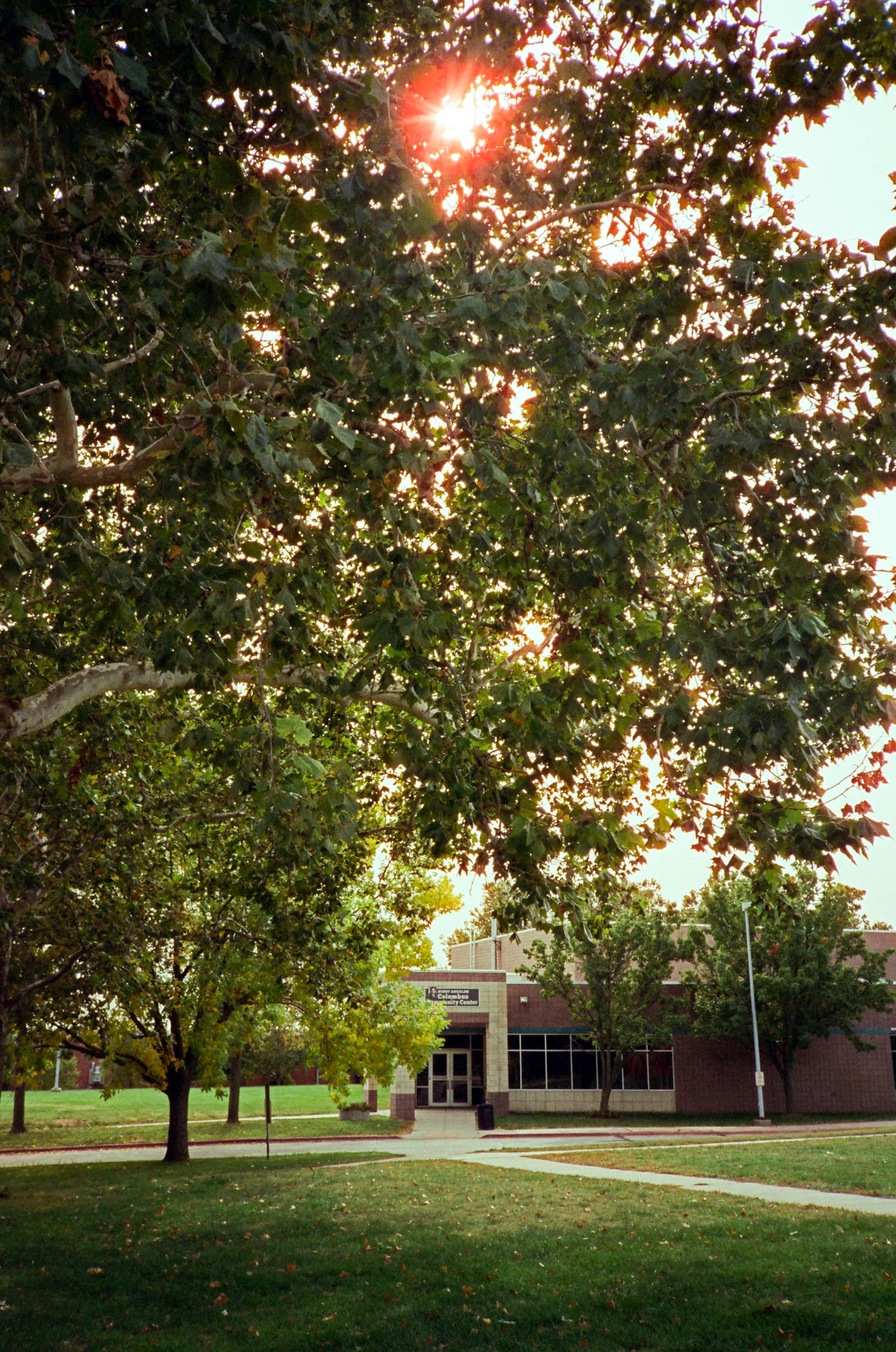 when the money goes, will the honey stay? - Image 80