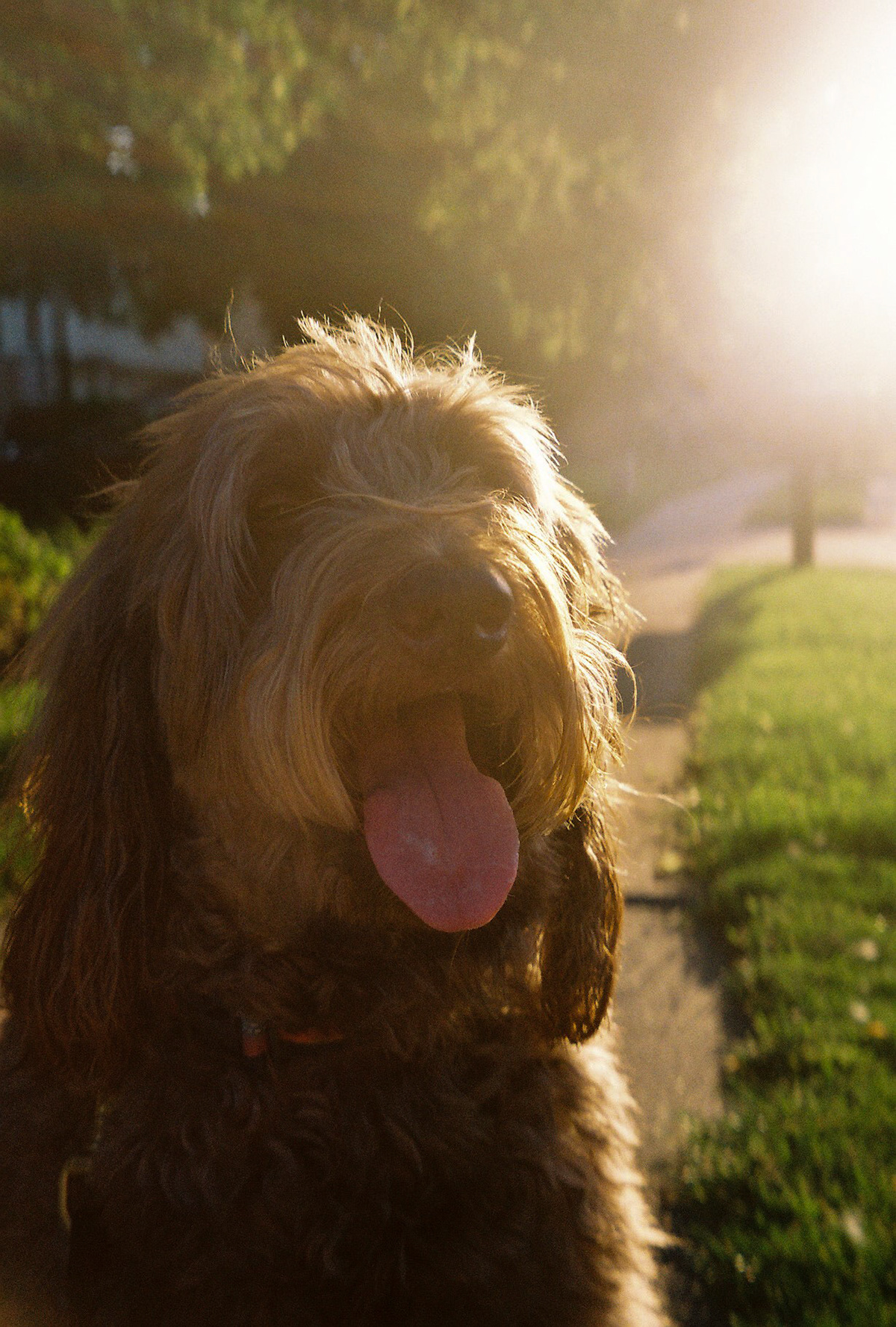 hands in the air if you made it - Image 89