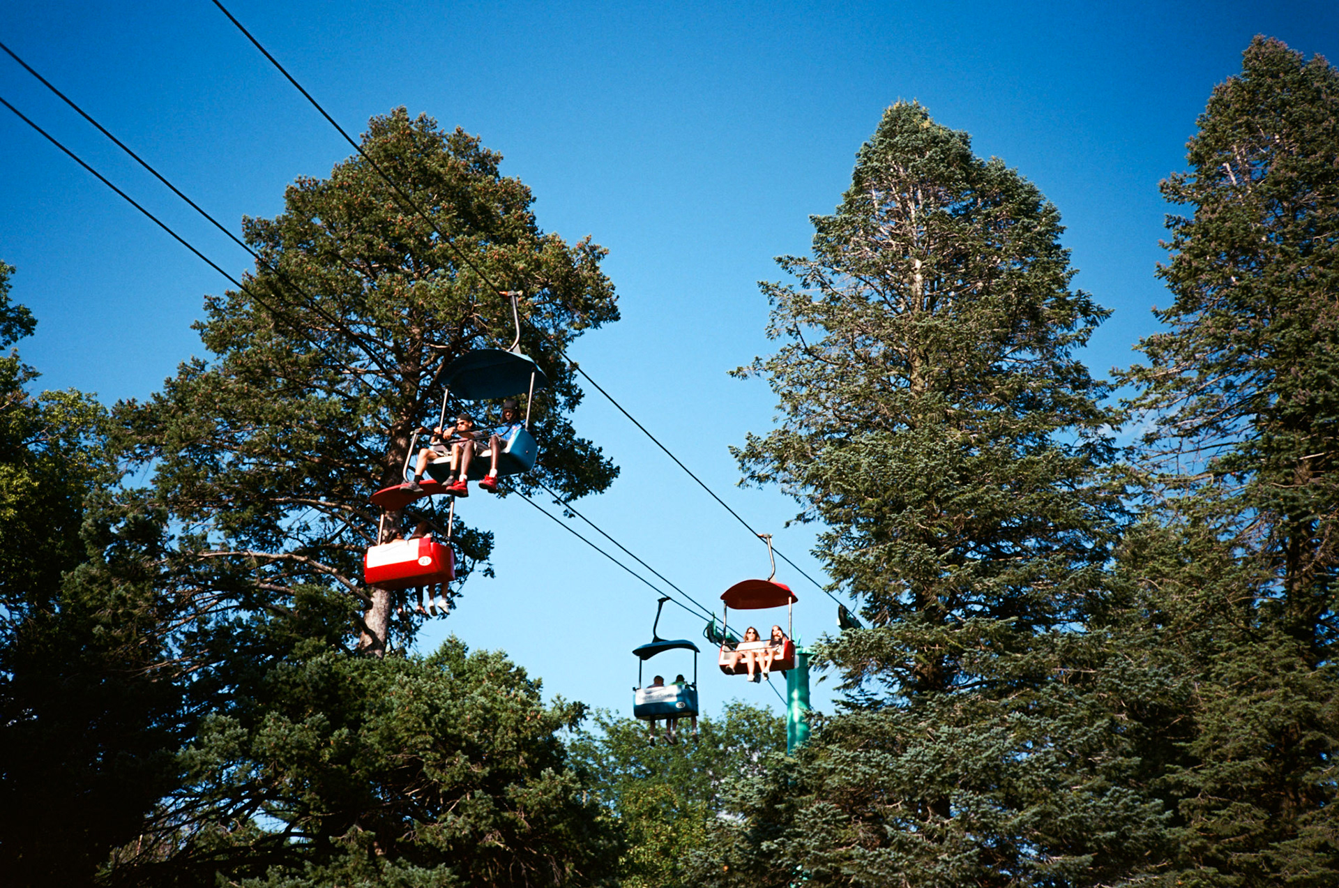 they'll never take the joy from us - Image 9