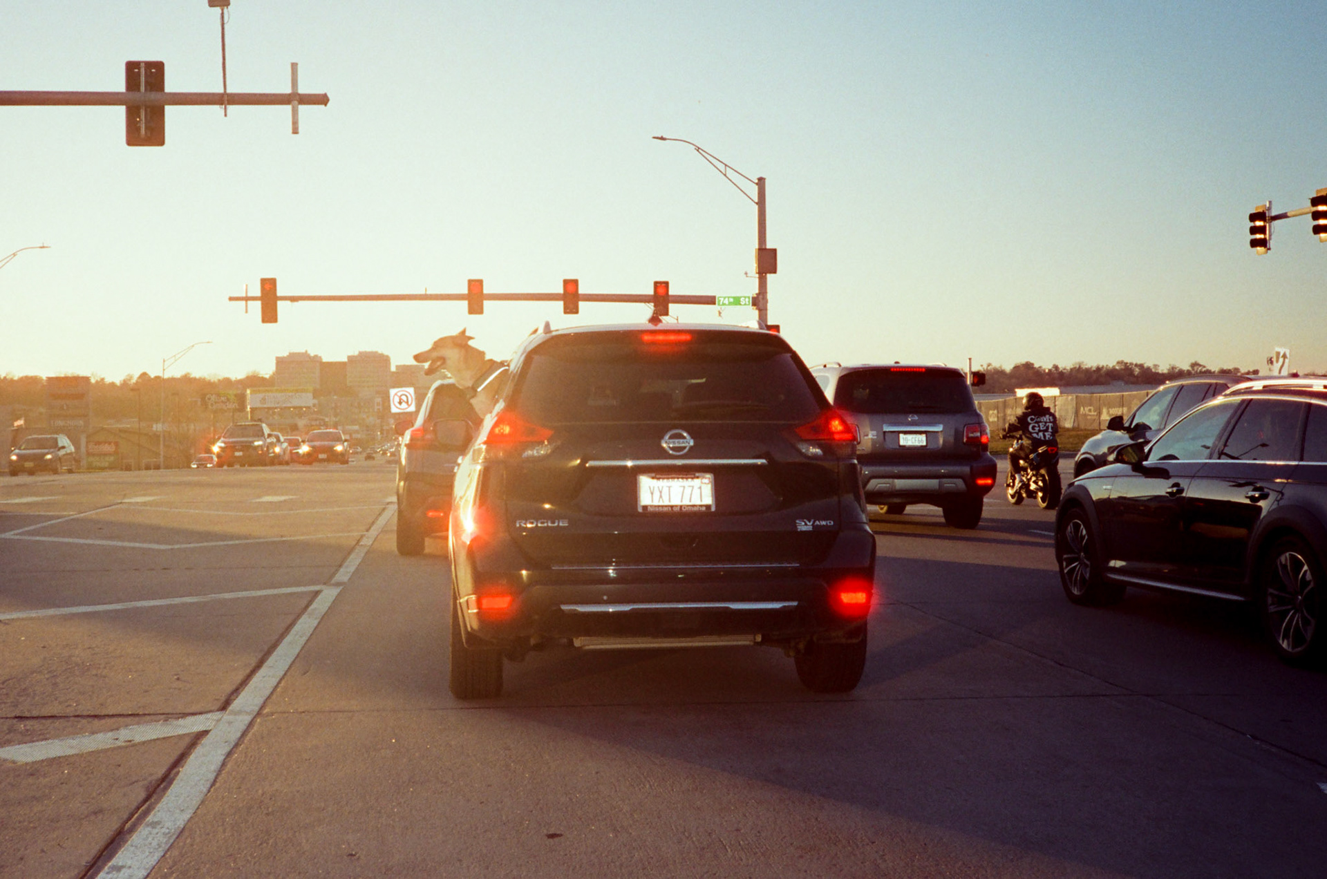 when the money goes, will the honey stay? - Image 22