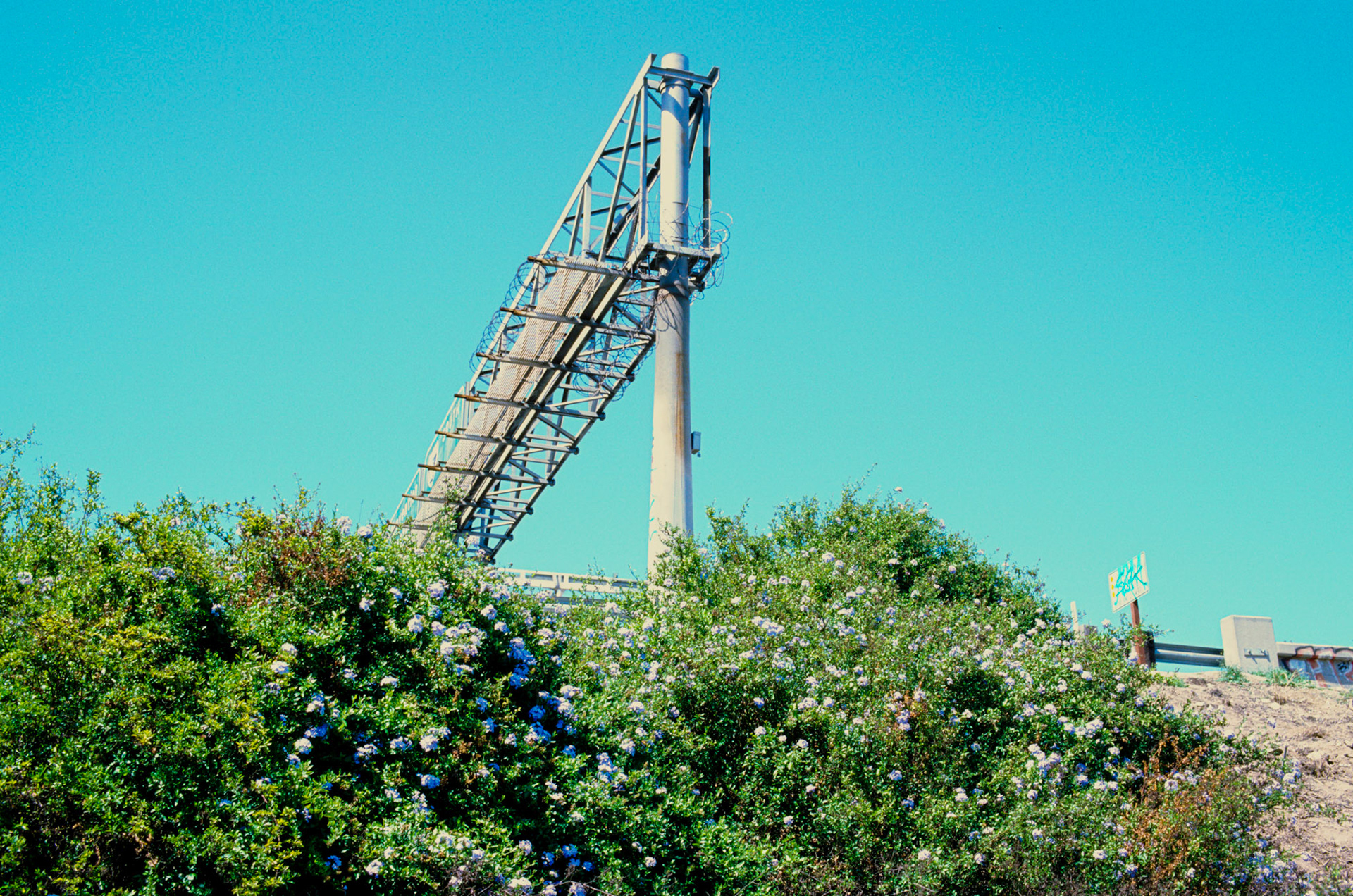 i guess we just go get 'em - Image 71