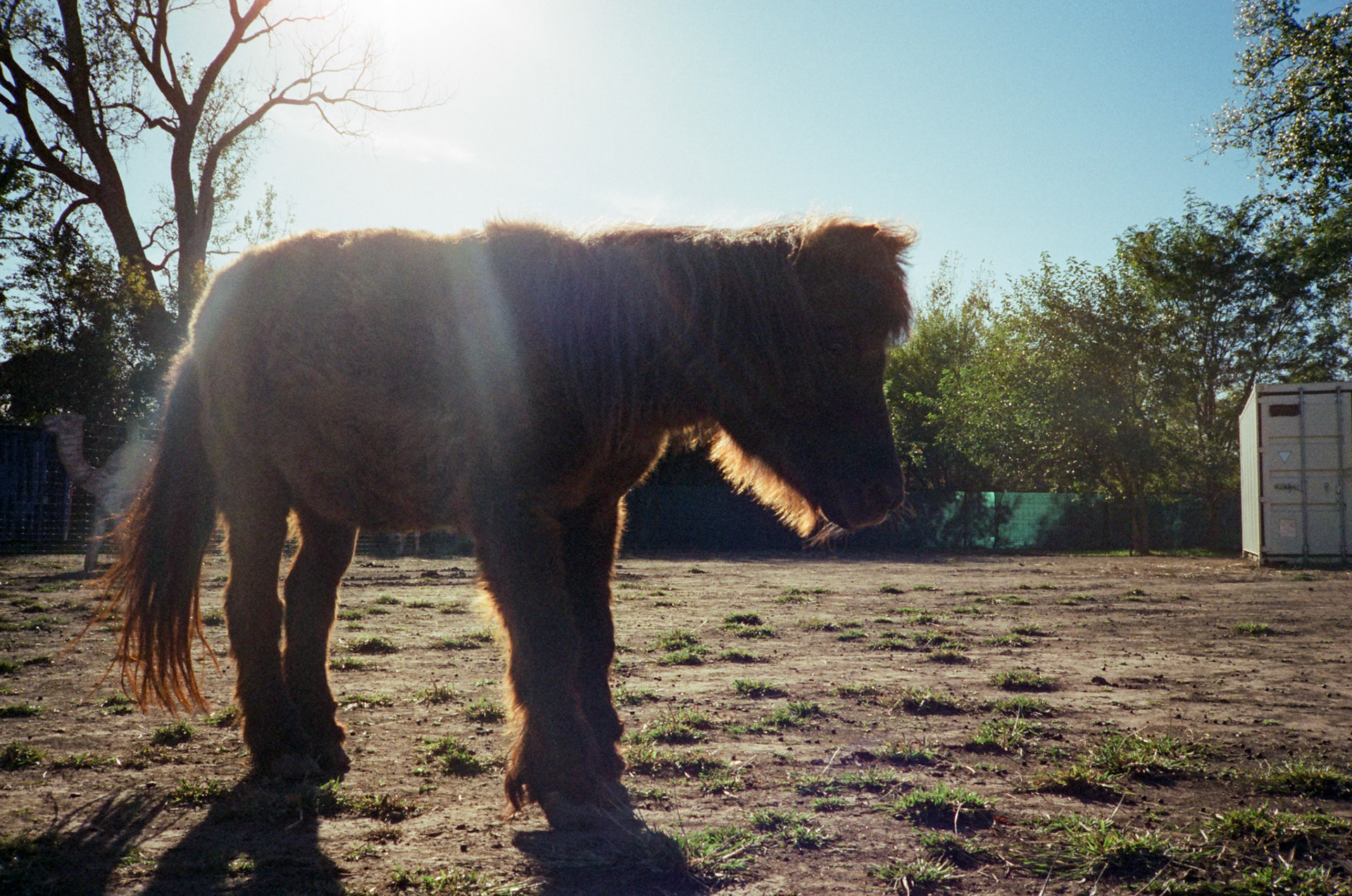 when the money goes, will the honey stay? - Image 19