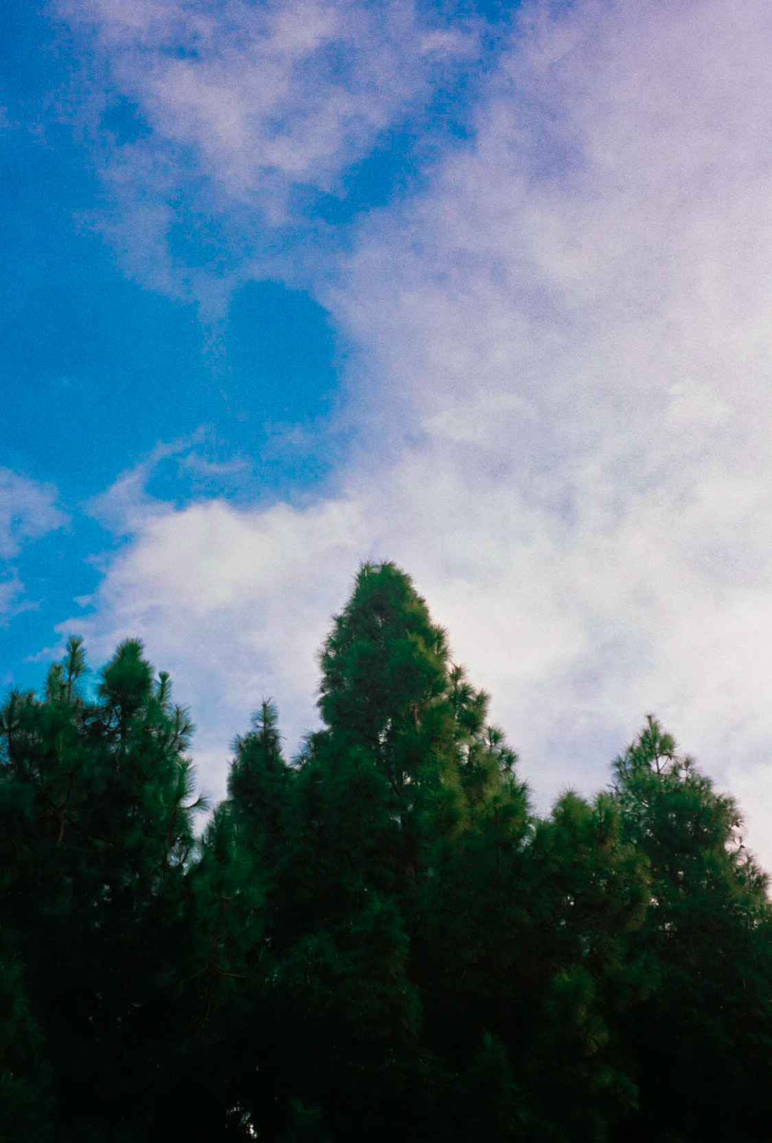 take me all the way - Image 34