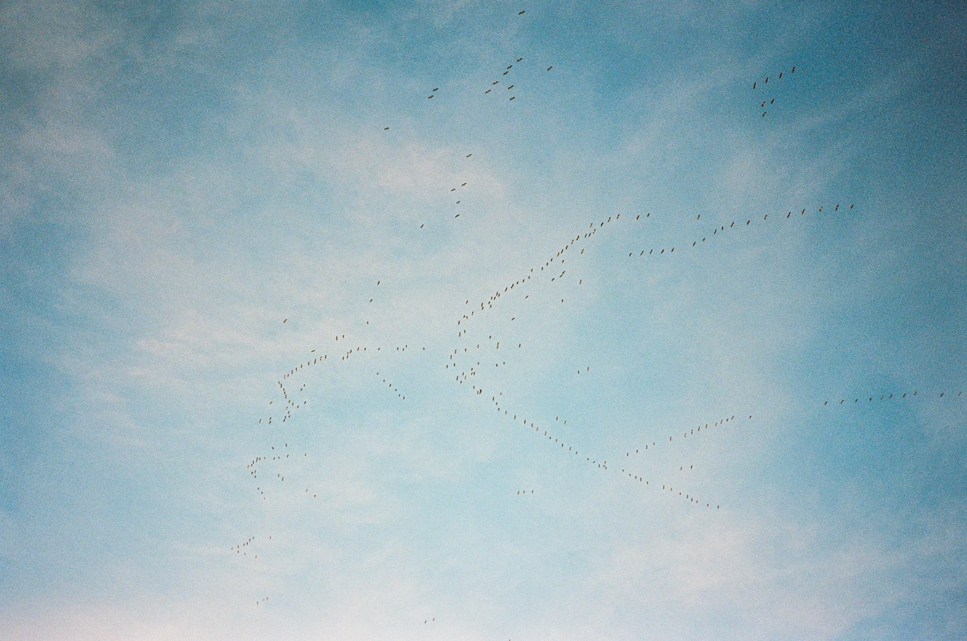 for me, don't change - Image 25