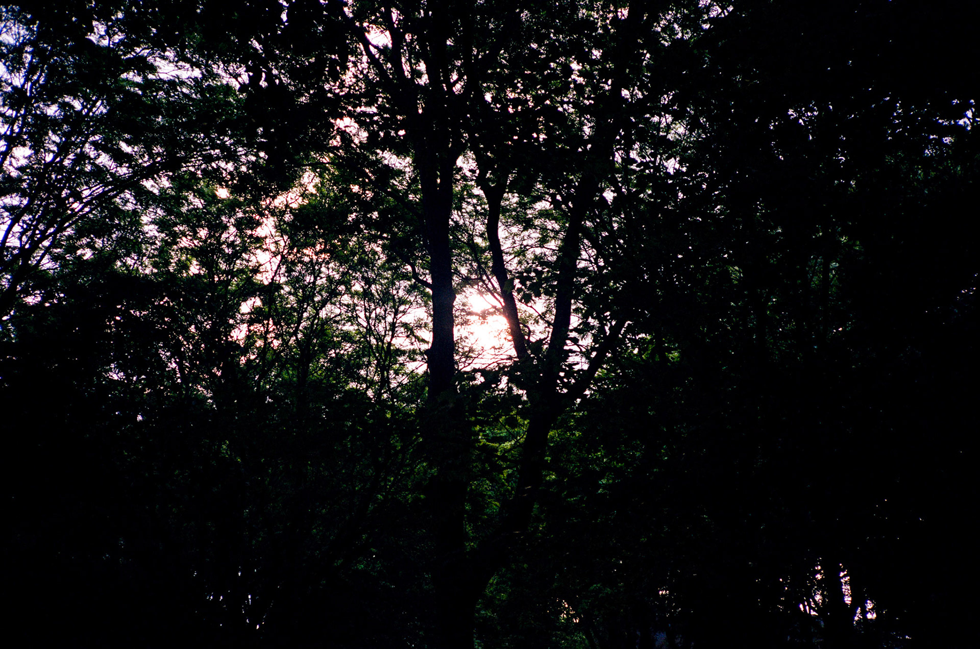 walk out the door - Image 119