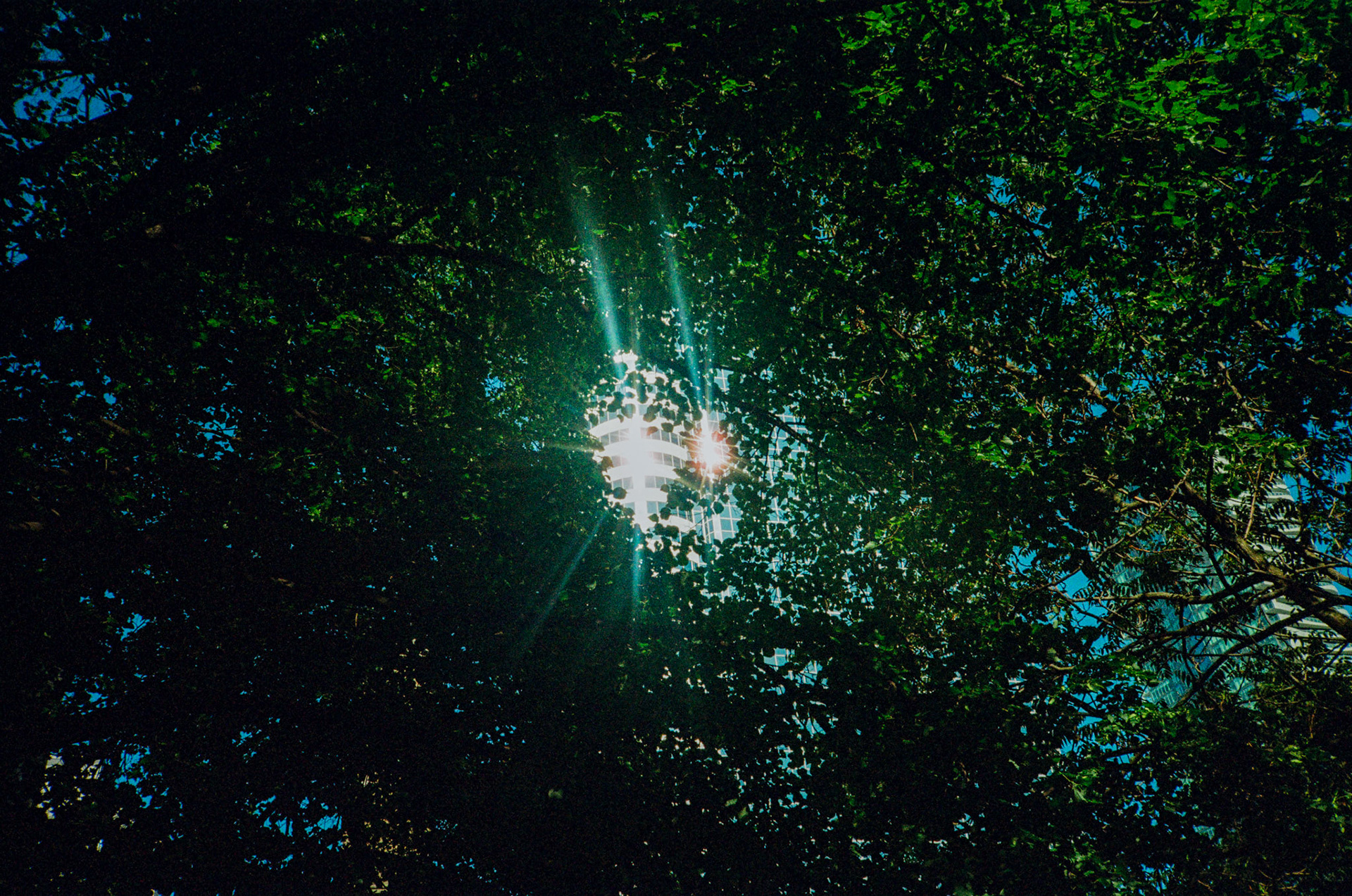 walk out the door - Image 81