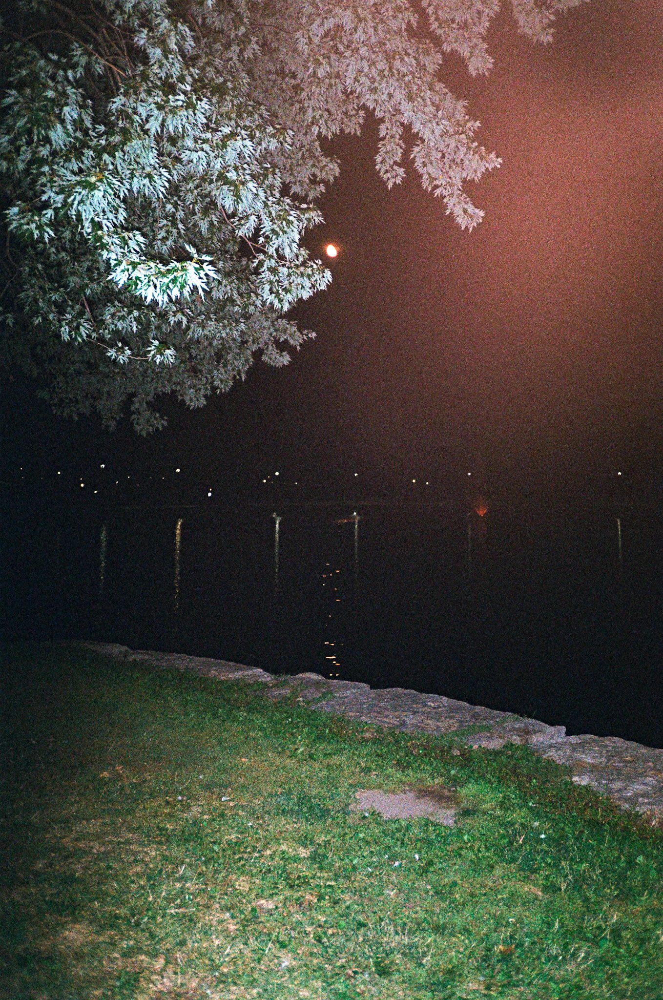 they'll never take the joy from us - Image 64