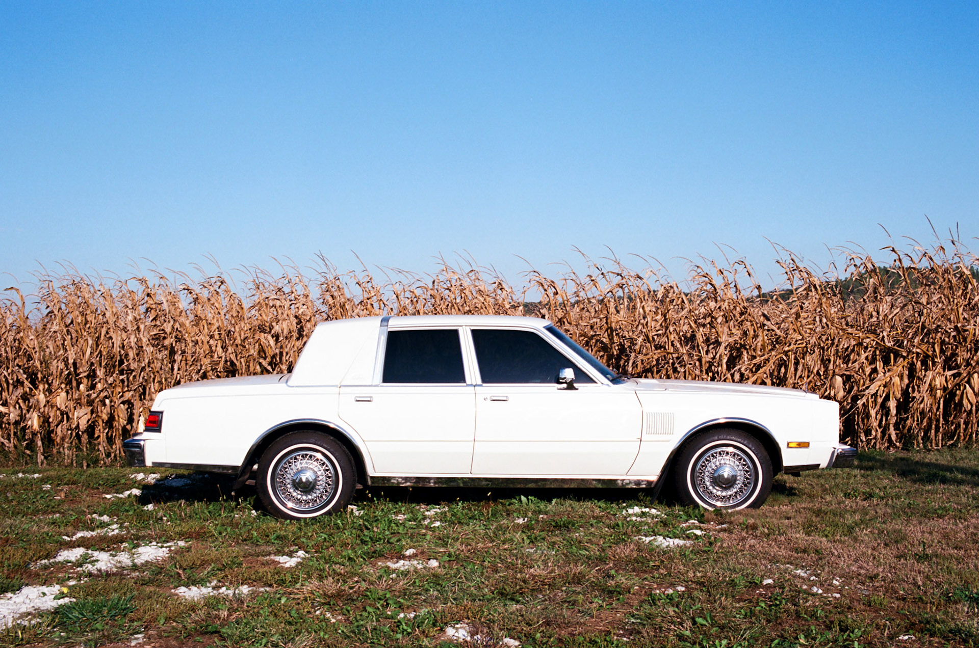 when the money goes, will the honey stay? - Image 7