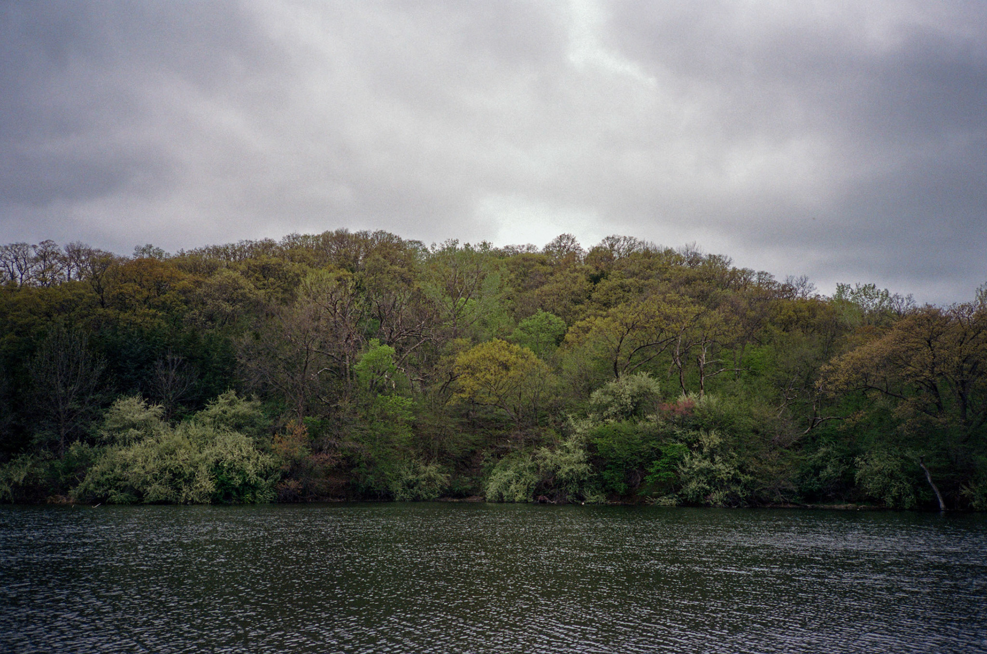 i guess we just go get 'em - Image 31