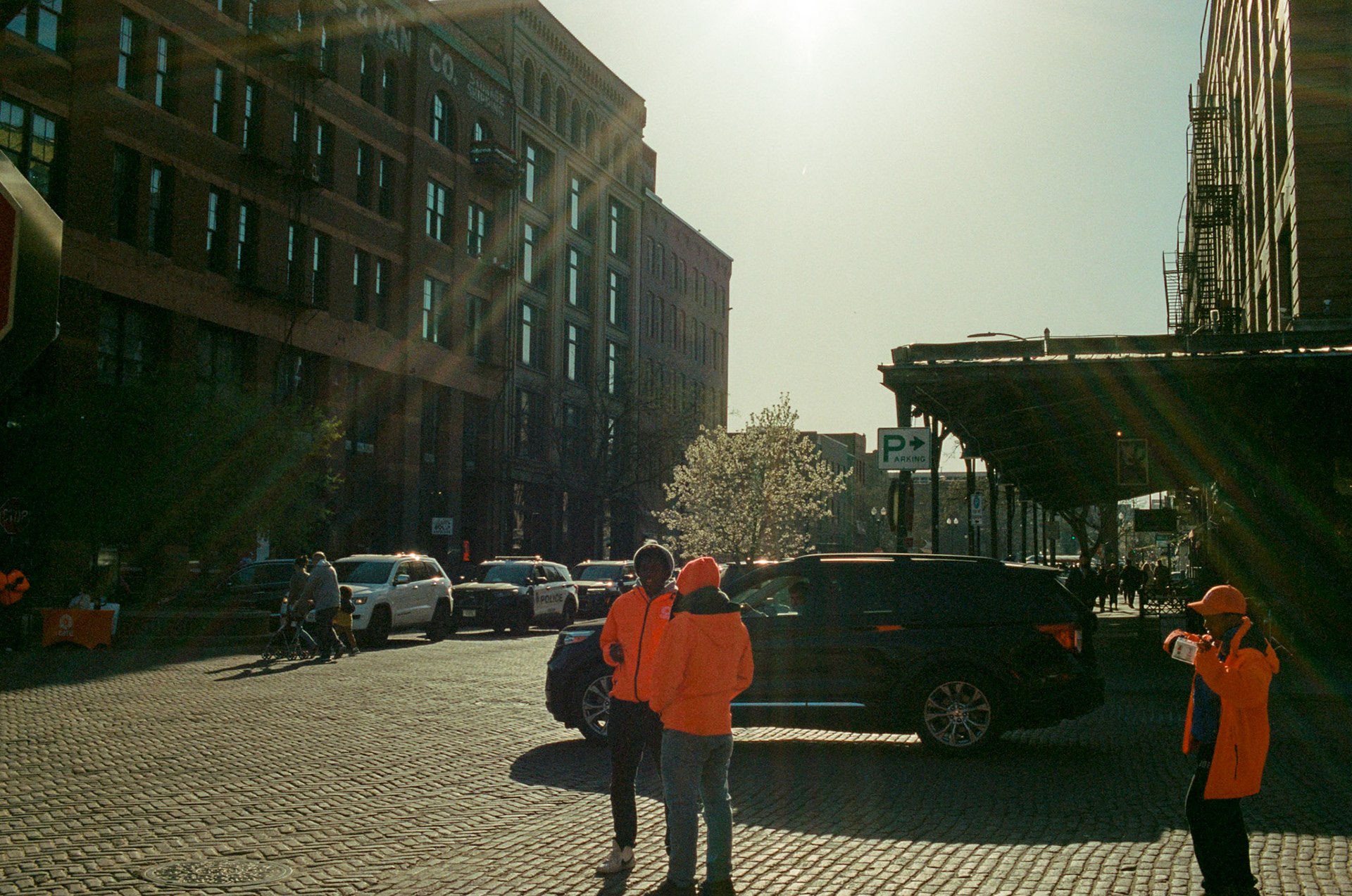 i guess we just go get 'em - Image 94