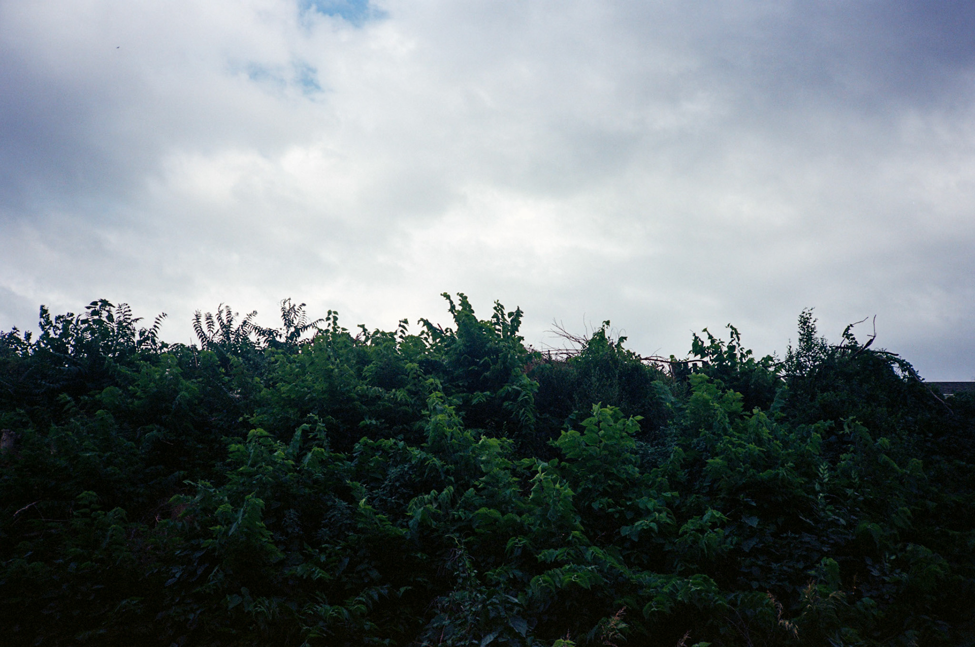 run to the sun - Image 32