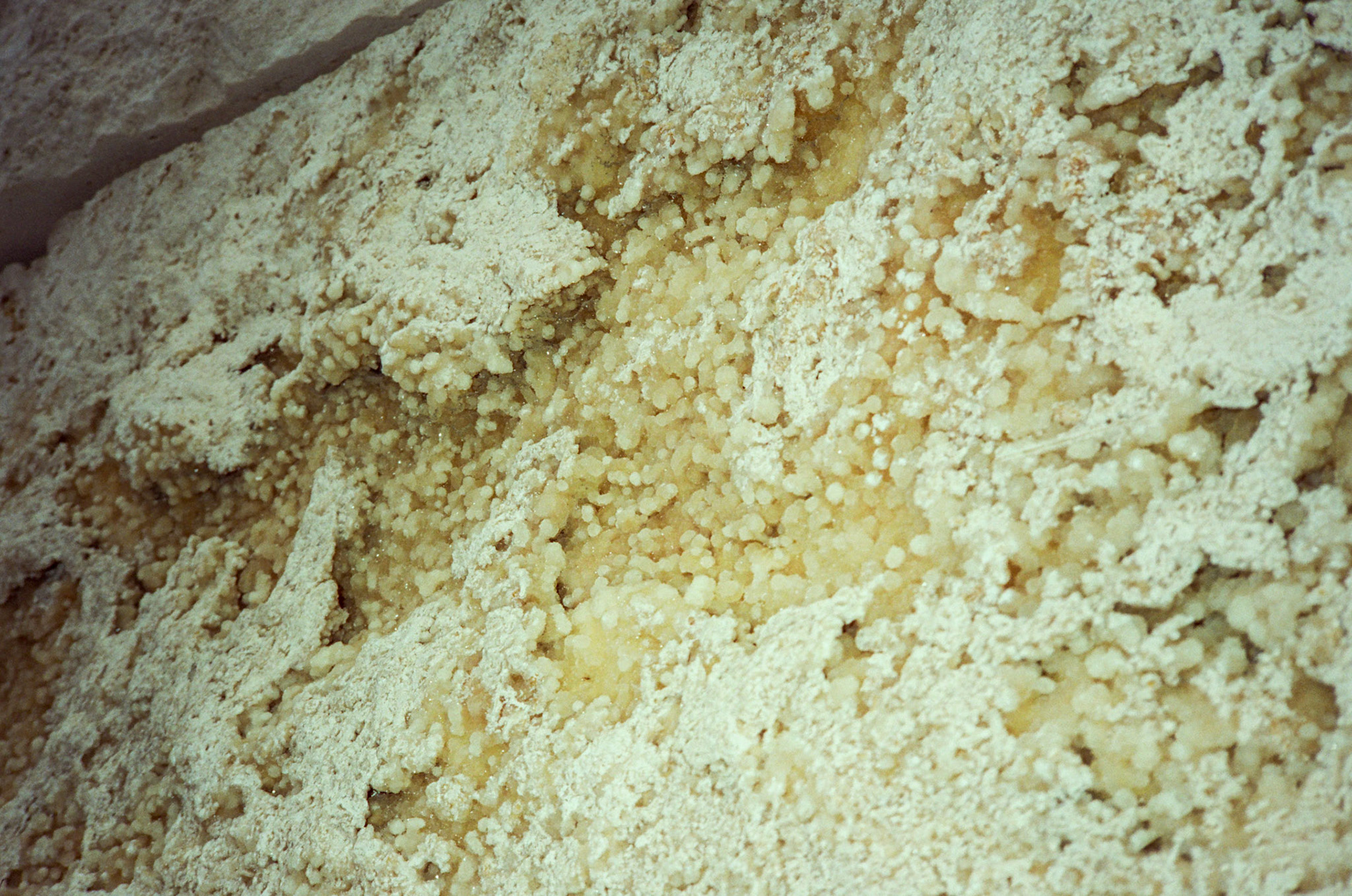 i guess we just go get 'em - Image 80