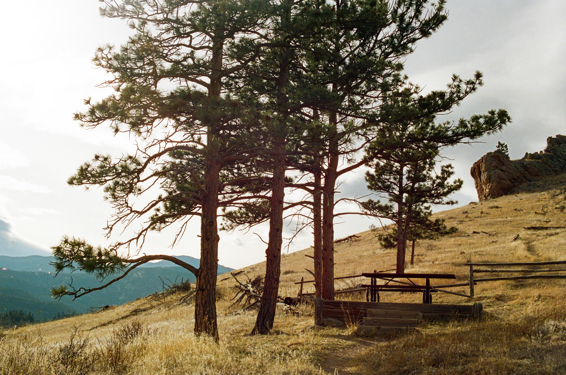 when the money goes, will the honey stay? - Image 74