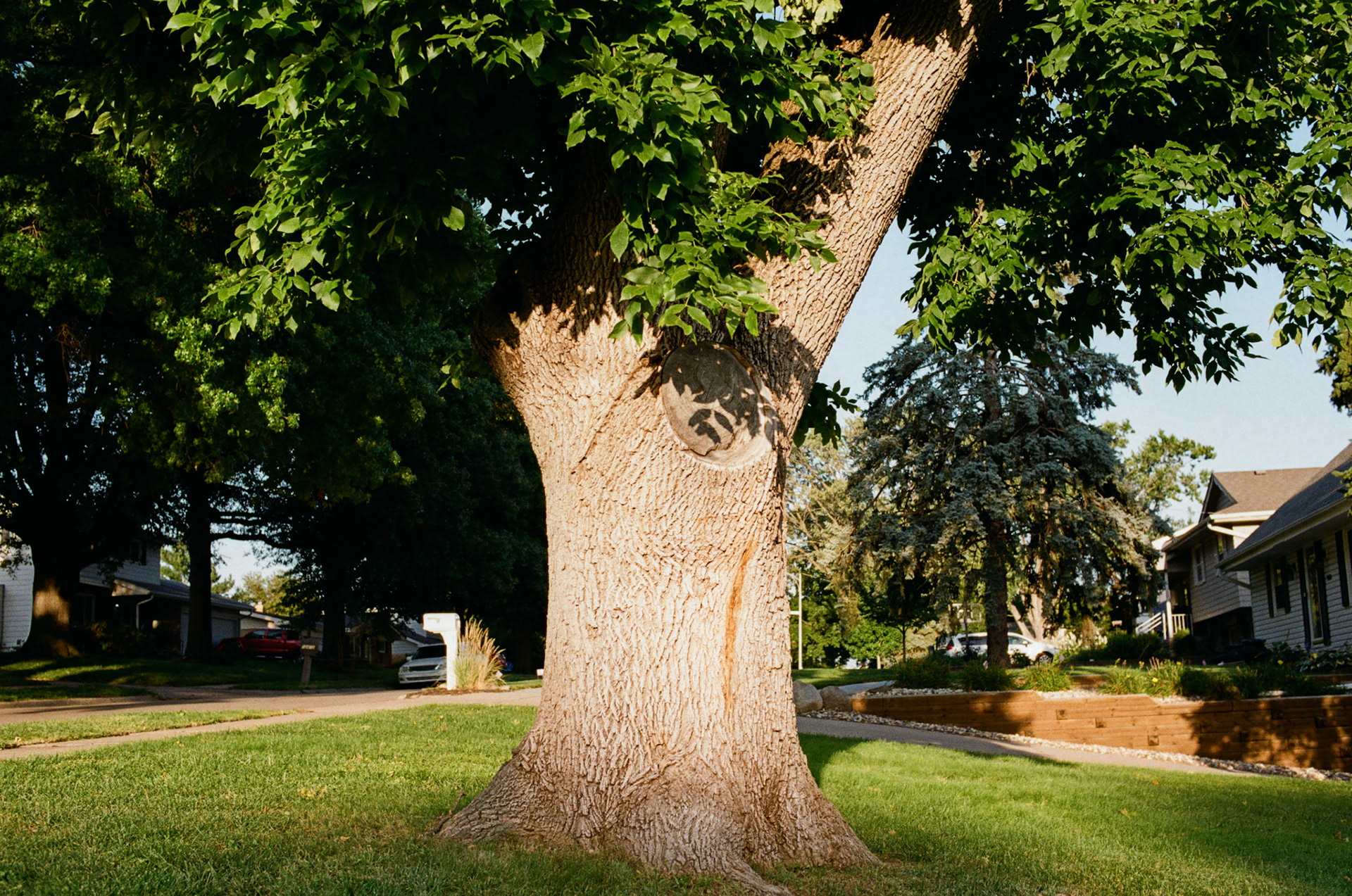 they'll never take the joy from us - Image 36