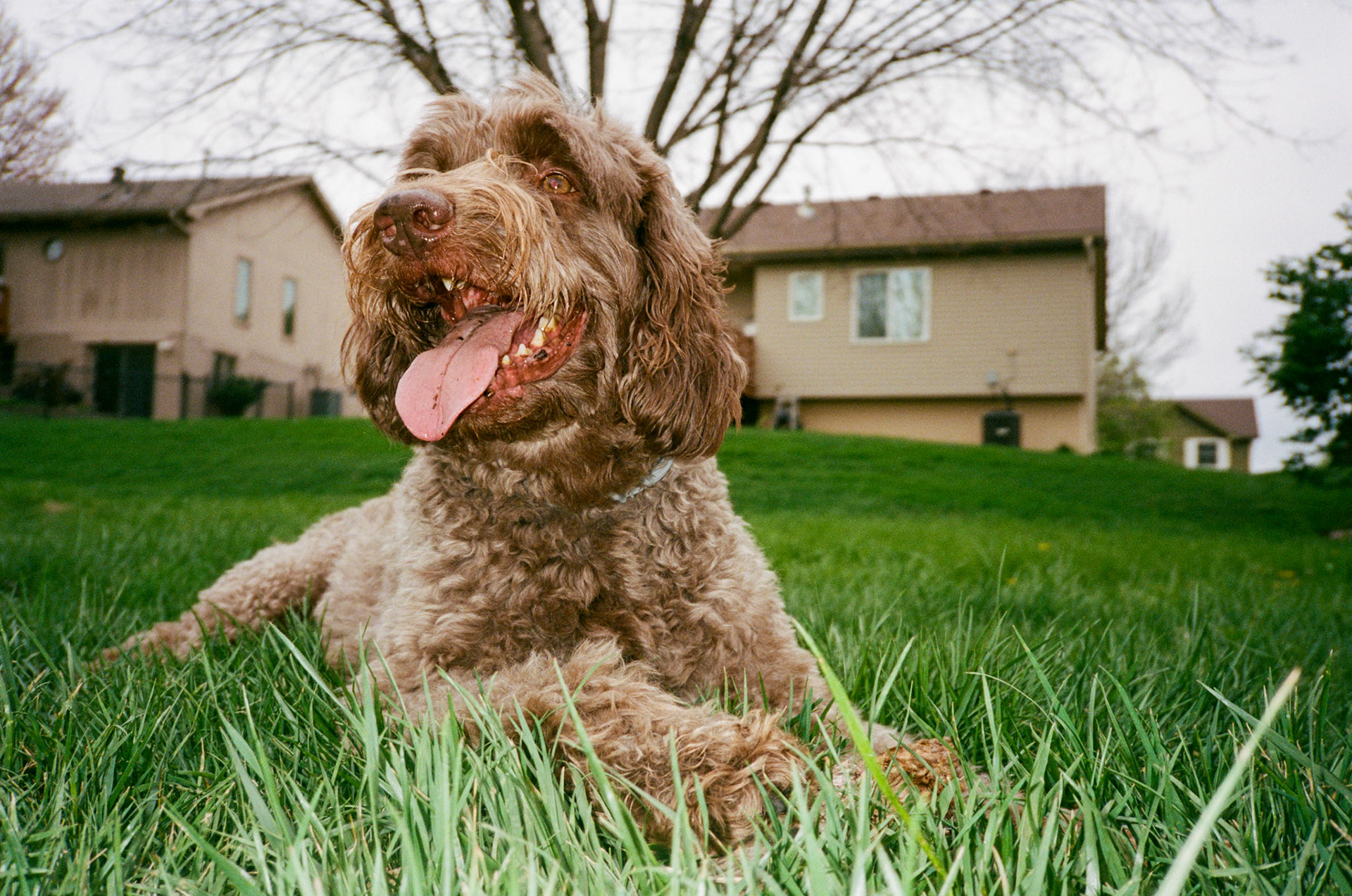 i guess we just go get 'em - Image 111