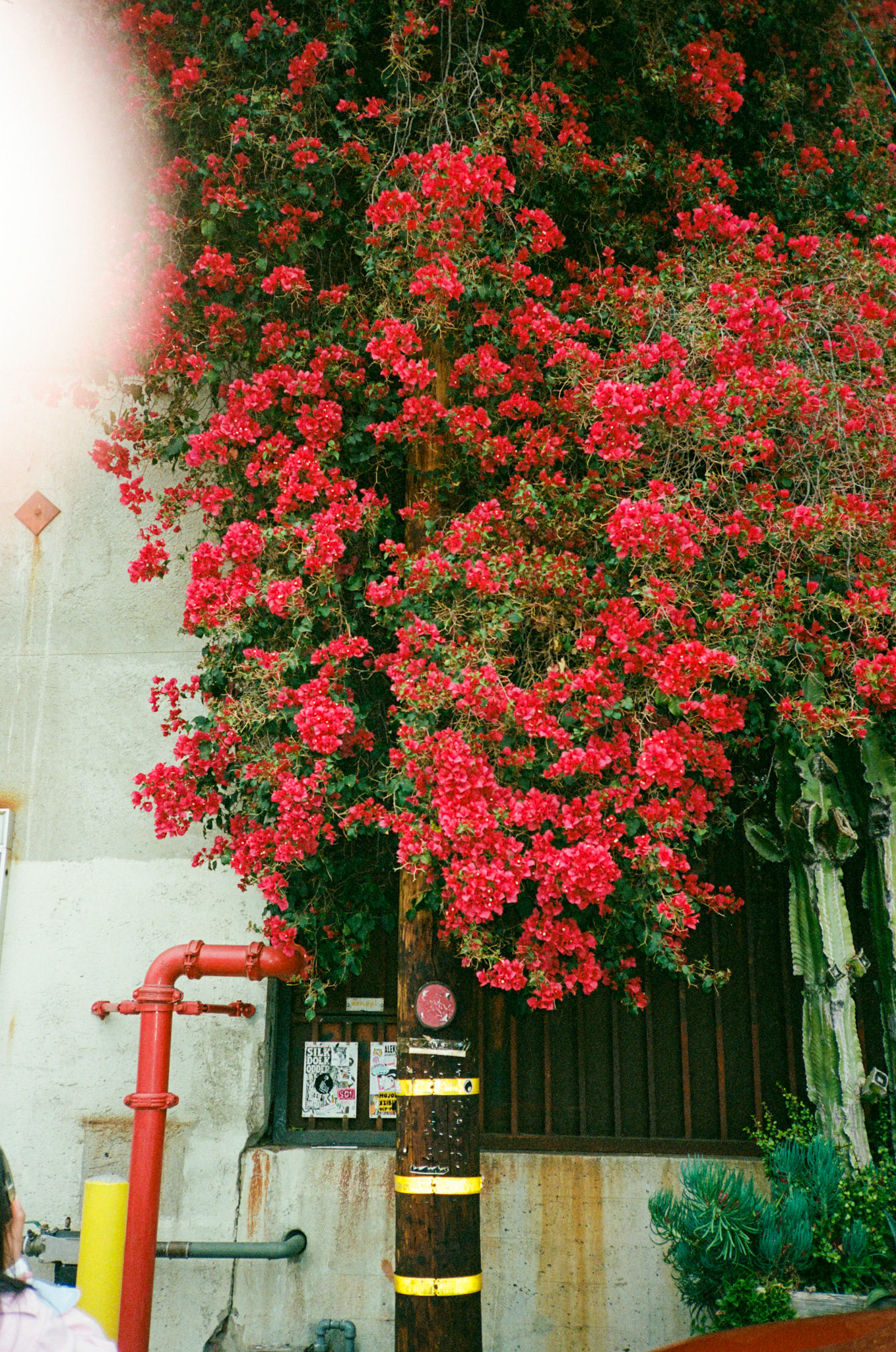 i guess we just go get 'em - Image 136