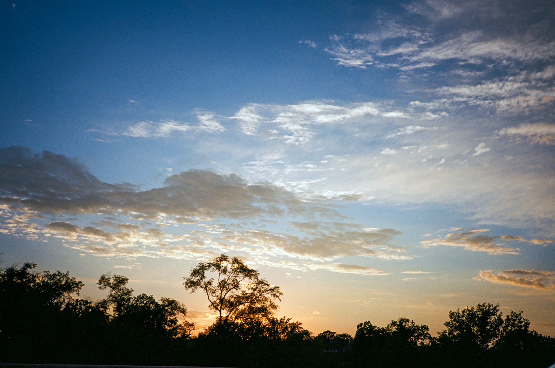 when the money goes, will the honey stay? - Image 5