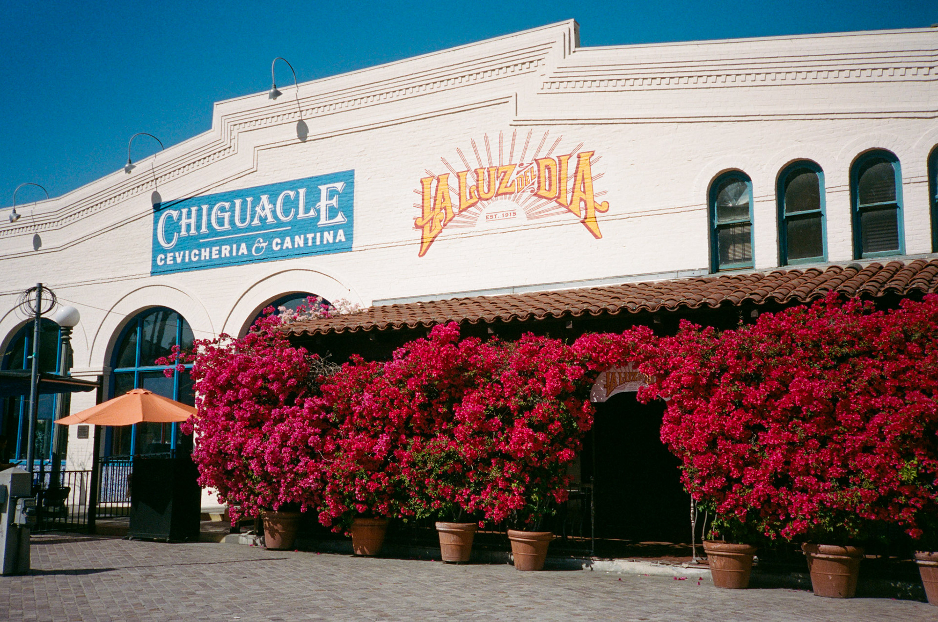 i guess we just go get 'em - Image 48