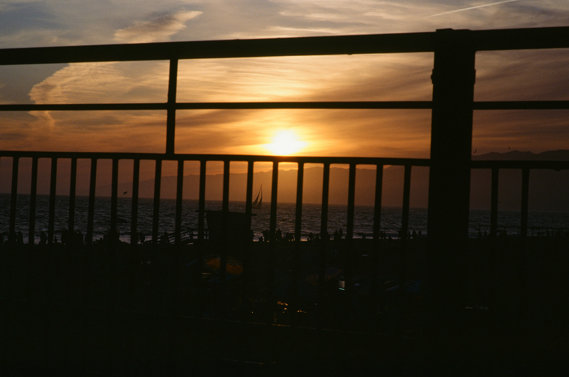 i guess we just go get 'em - Image 17