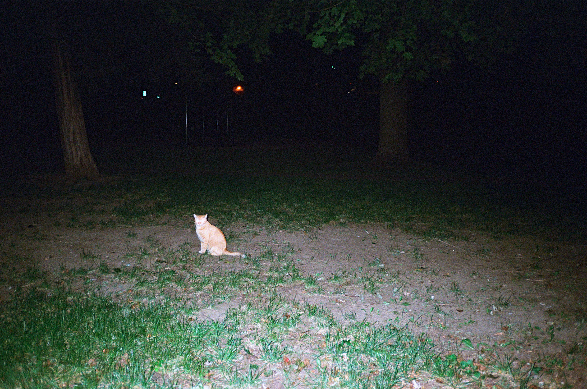 they'll never take the joy from us - Image 14