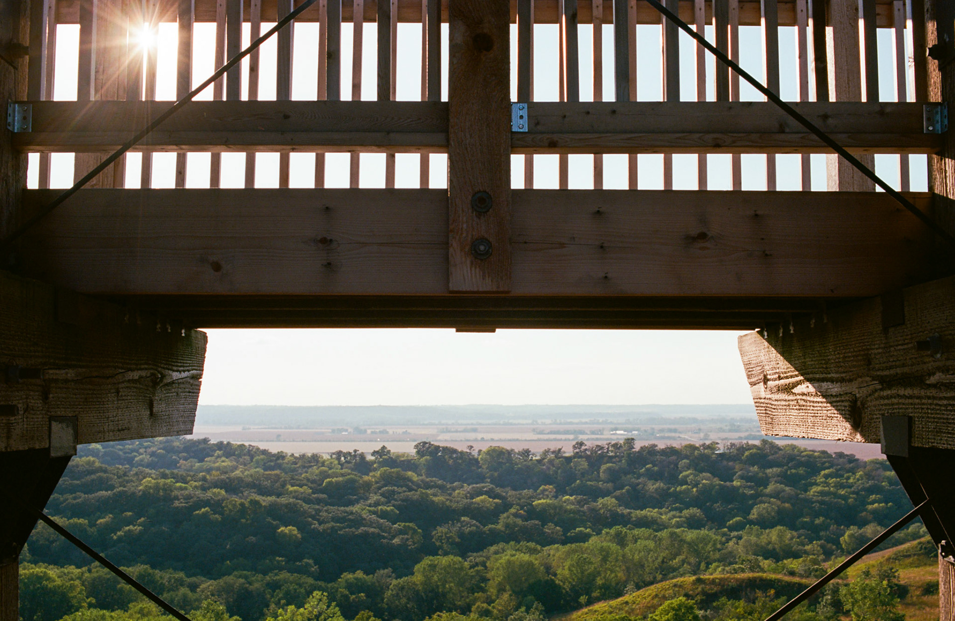 when the money goes, will the honey stay? - Image 30