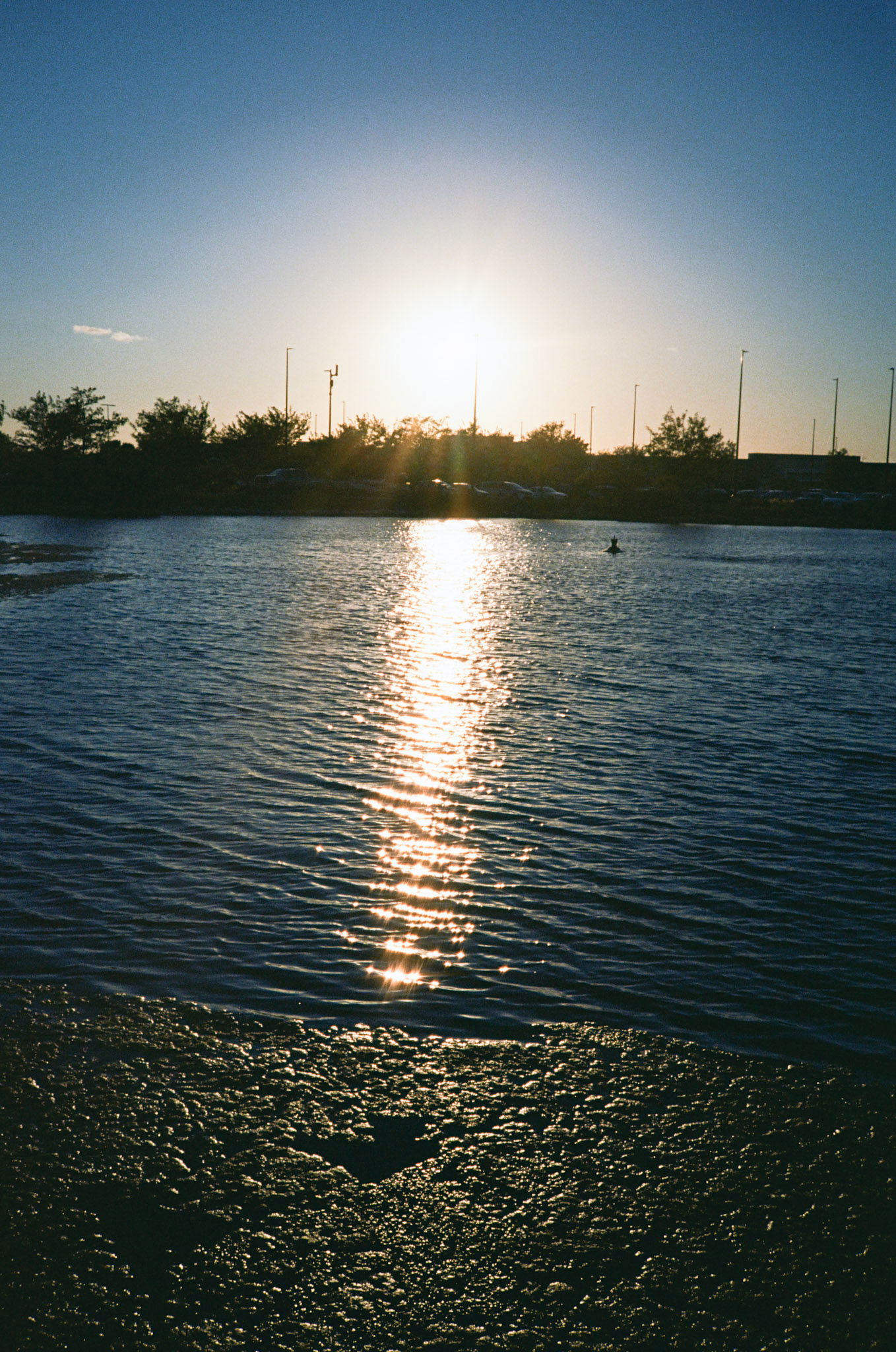 they'll never take the joy from us - Image 60