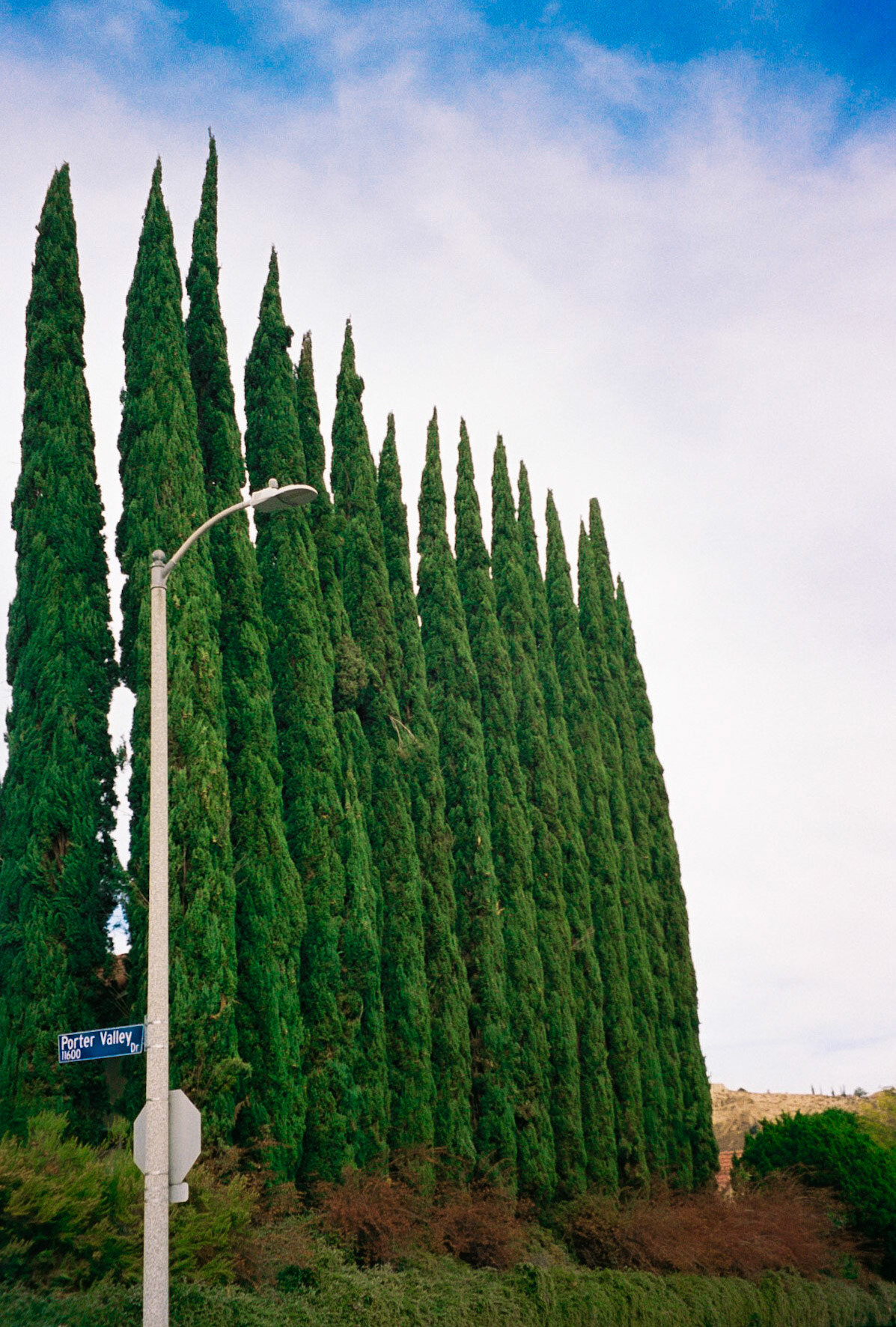 take me all the way - Image 47