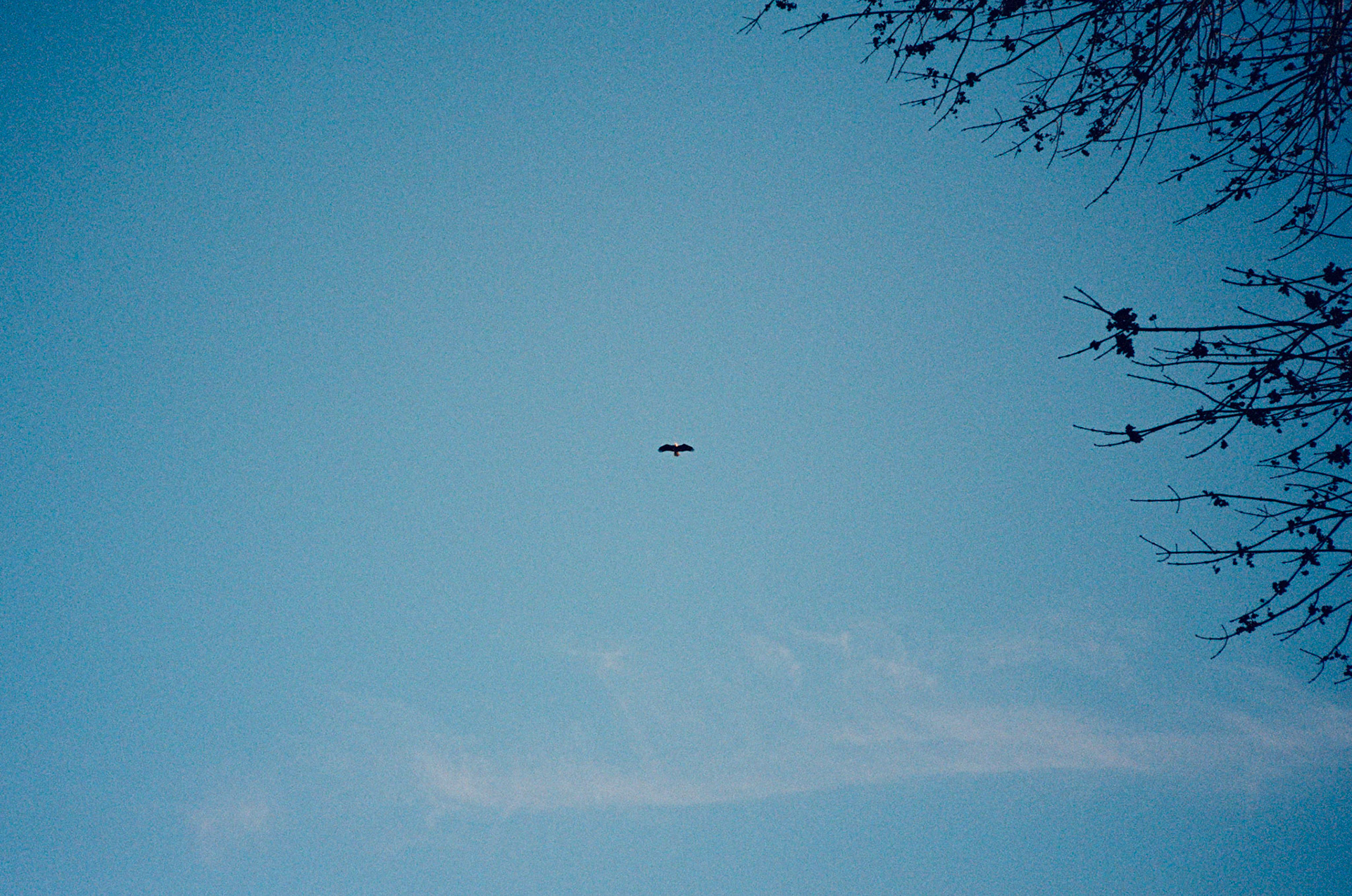 for me, don't change - Image 10