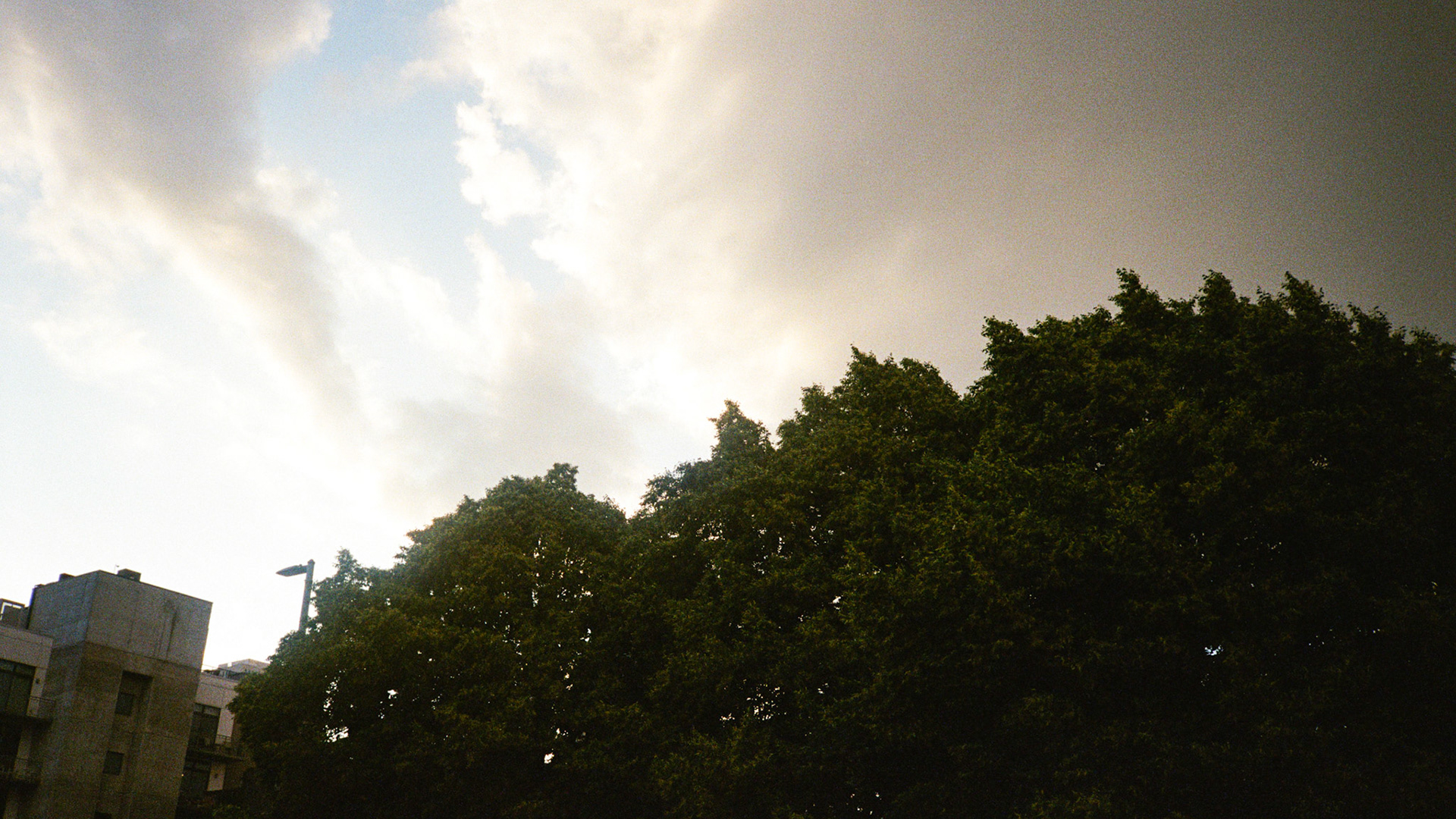 walk out the door - Image 111