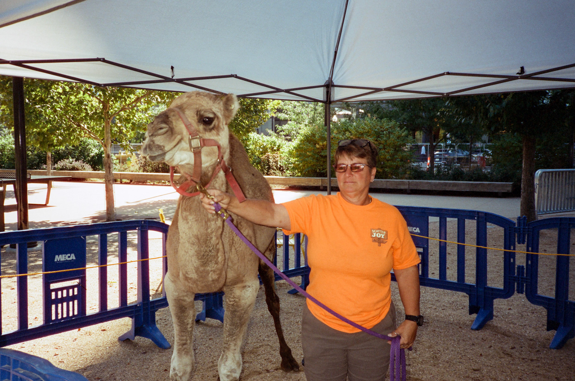 when the money goes, will the honey stay? - Image 41