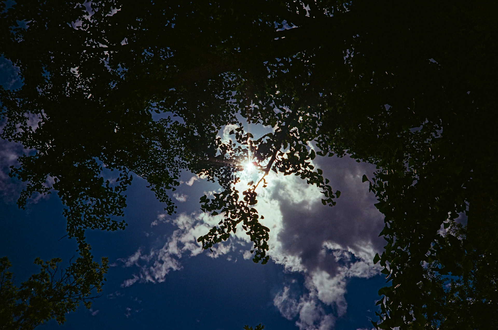 how fast can it go? - Image 28