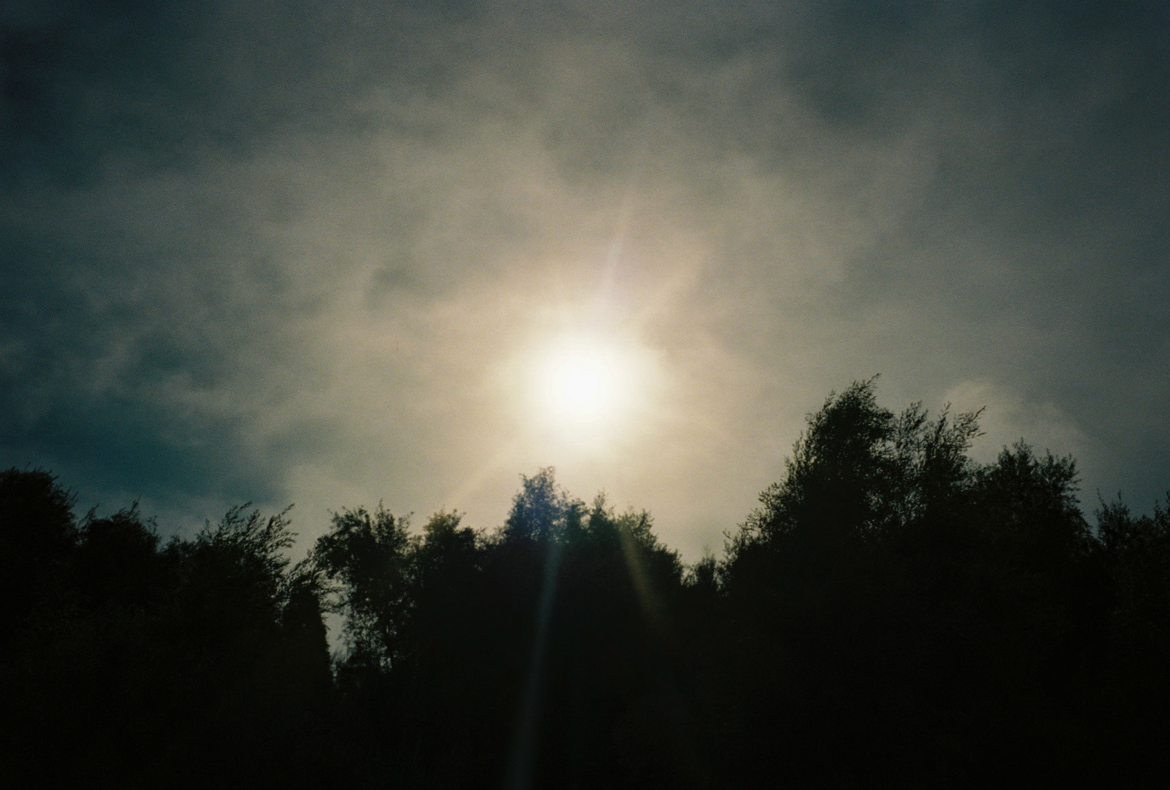 take me all the way - Image 23