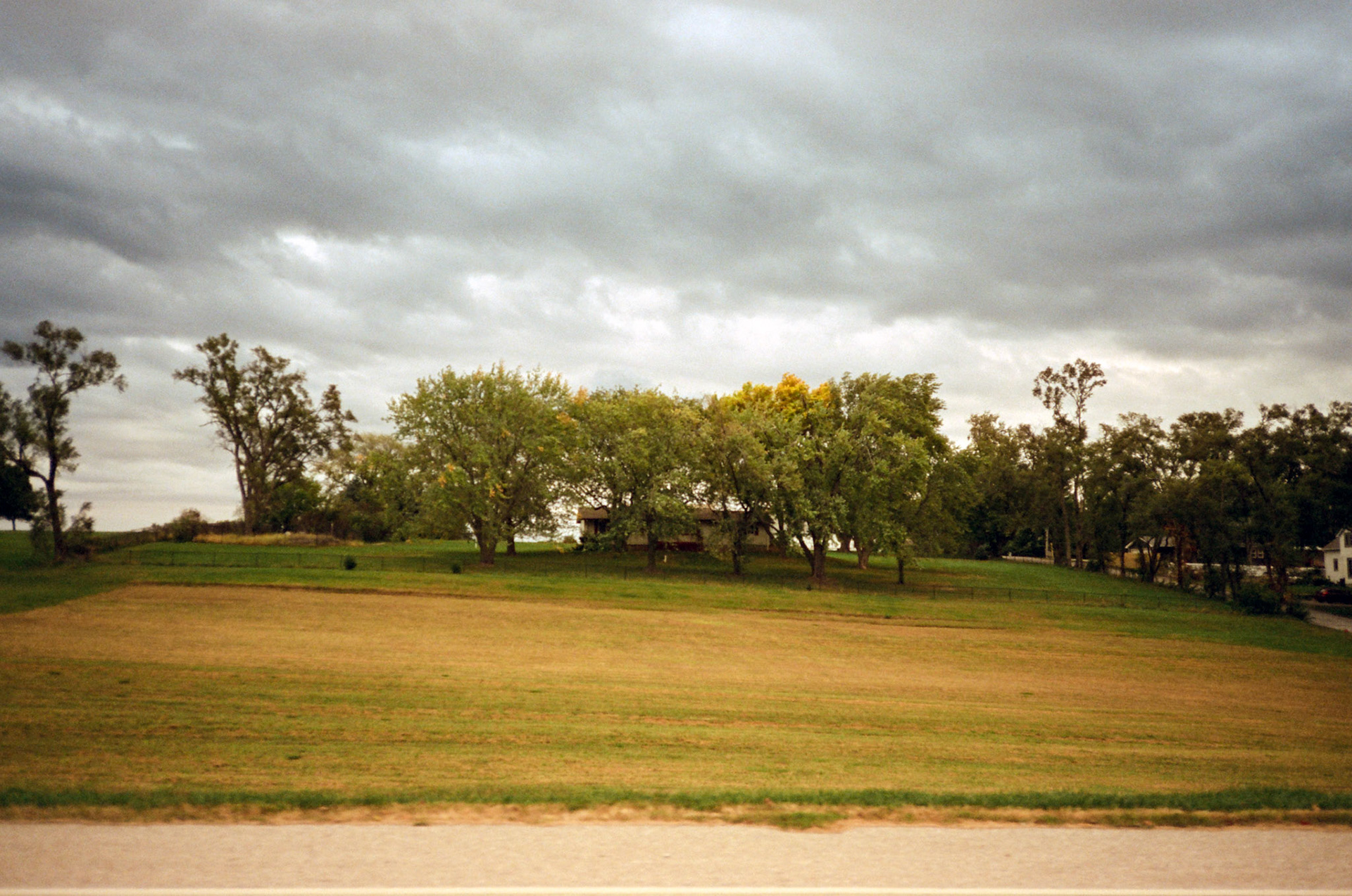 when the money goes, will the honey stay? - Image 14