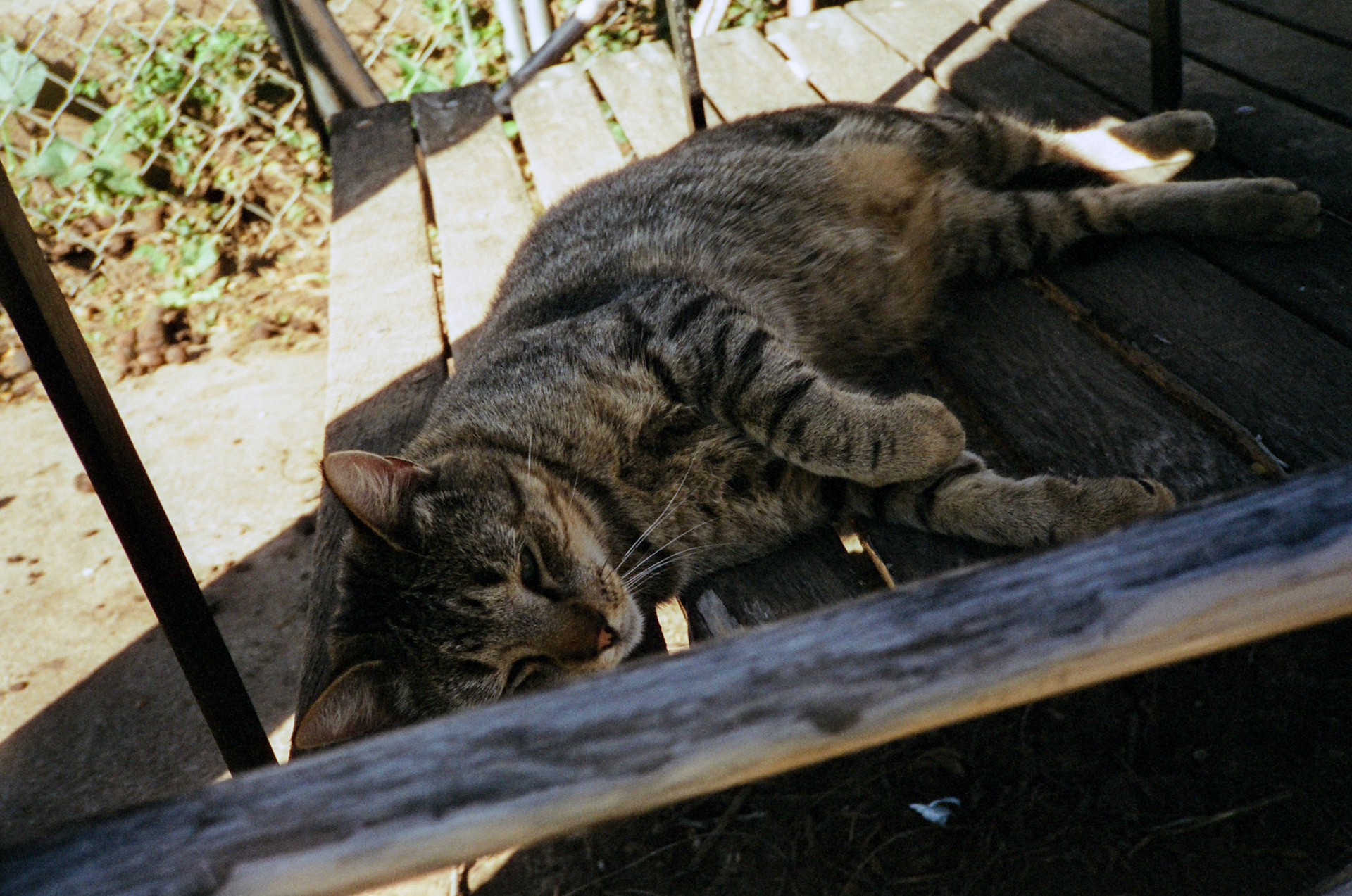 when the money goes, will the honey stay? - Image 61