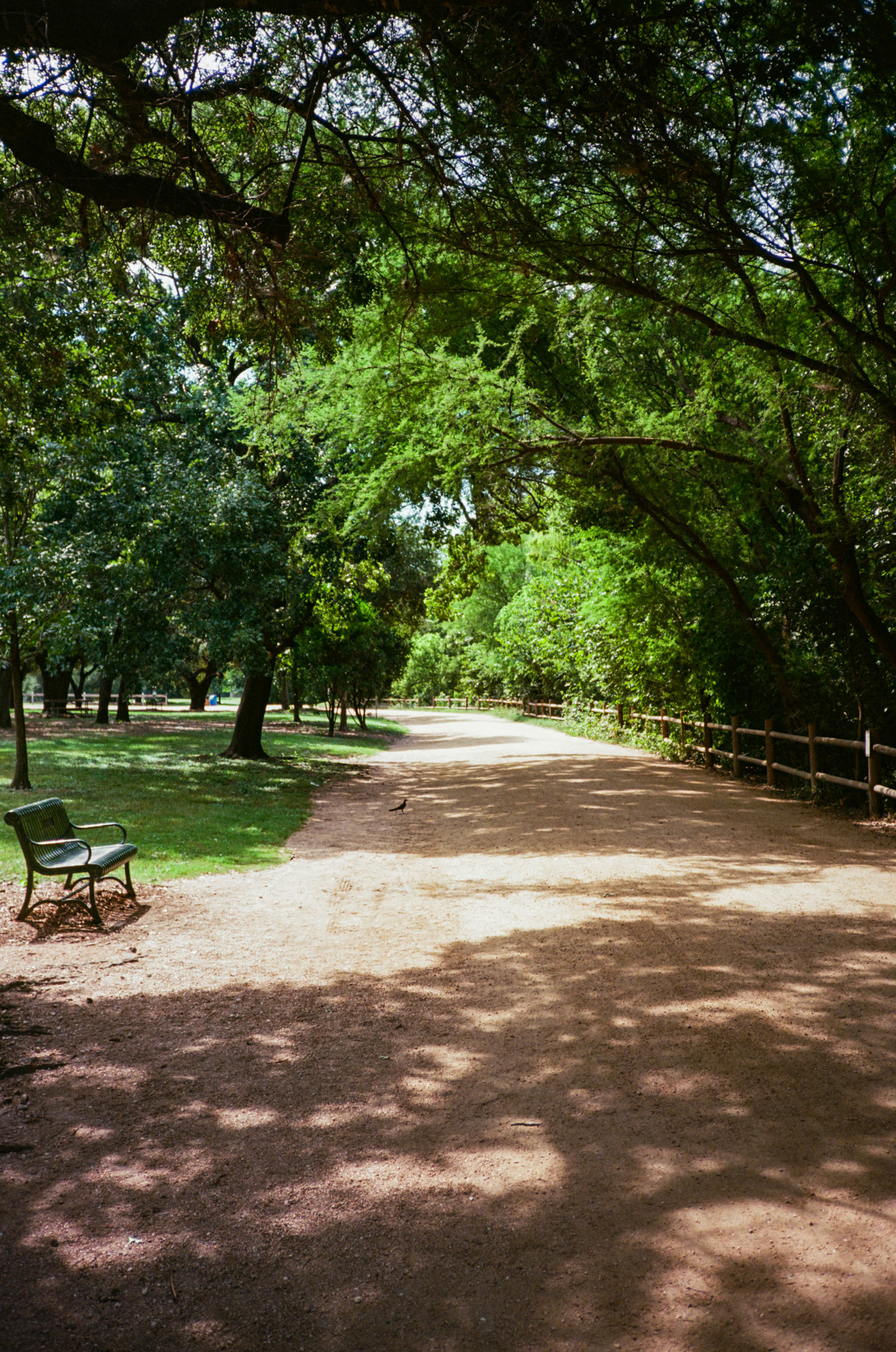 how fast can it go? - Image 35