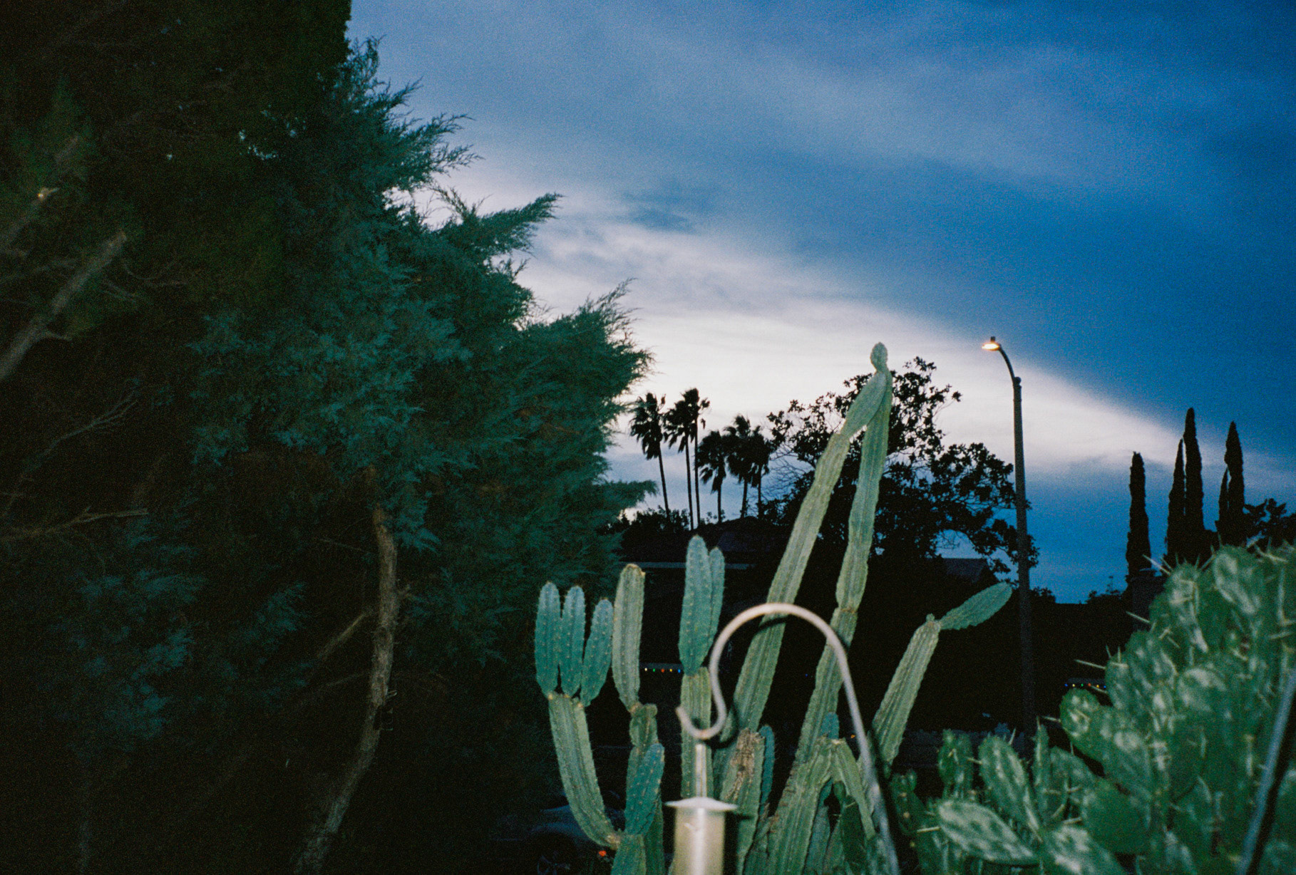 take me all the way - Image 32