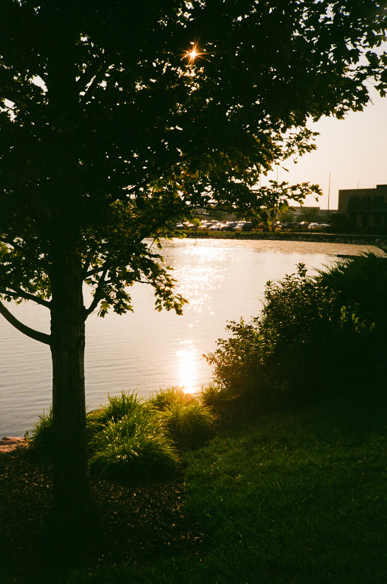 how fast can it go? - Image 30