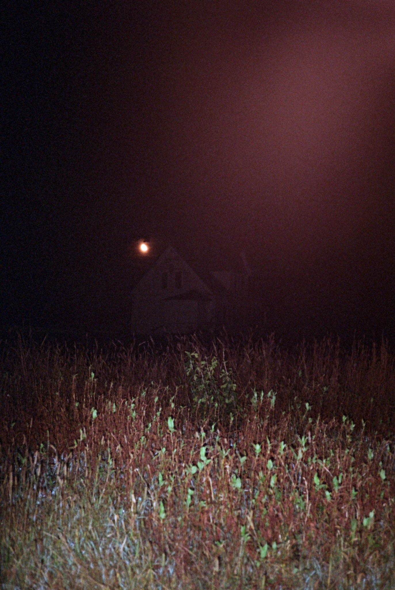 when the money goes, will the honey stay? - Image 88