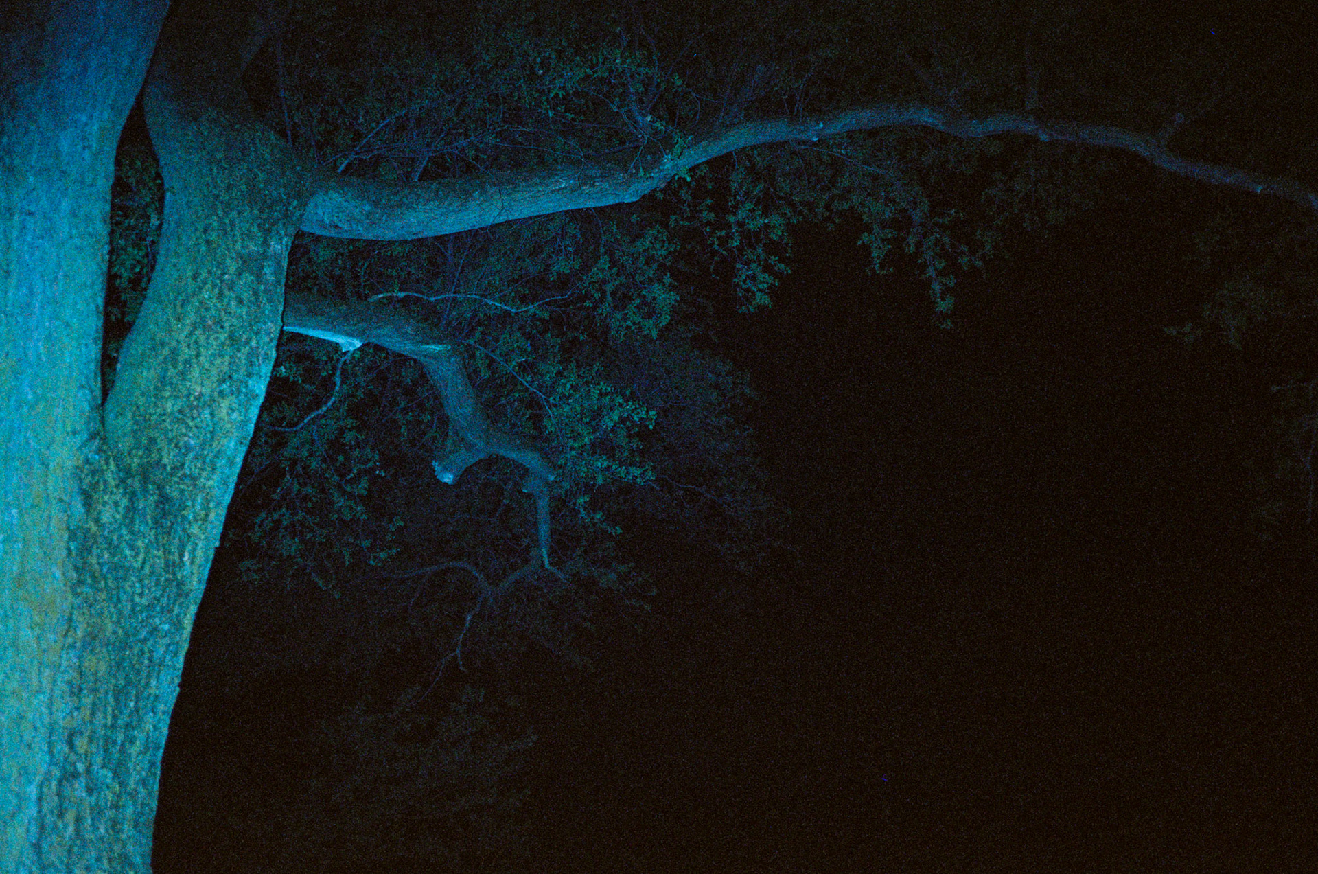 walk out the door - Image 131