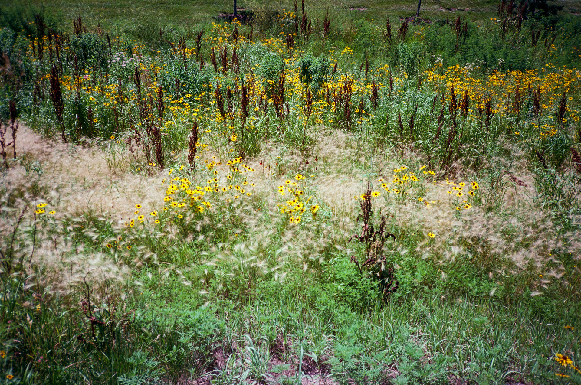 run to the sun - Image 20