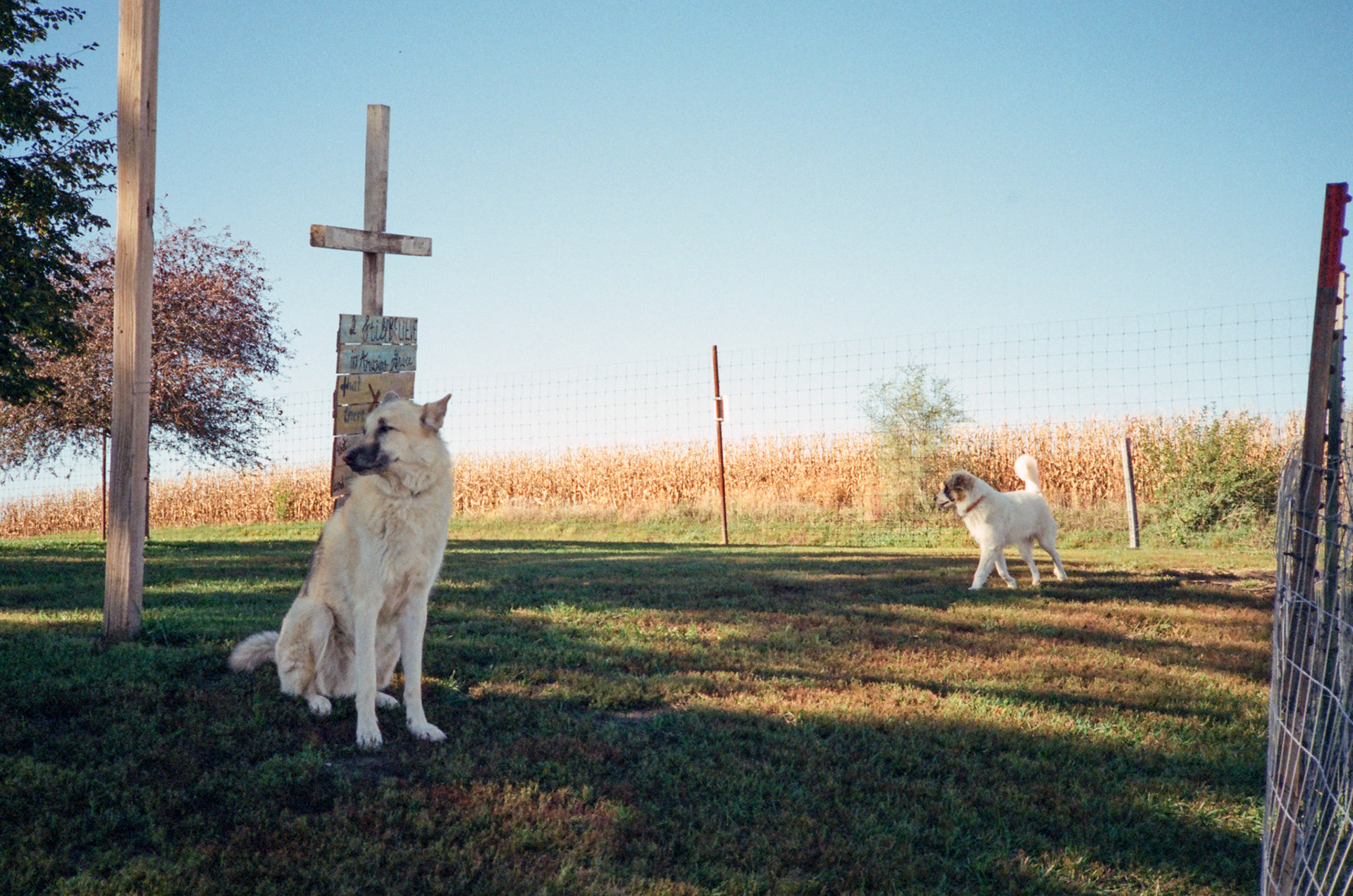 when the money goes, will the honey stay? - Image 50