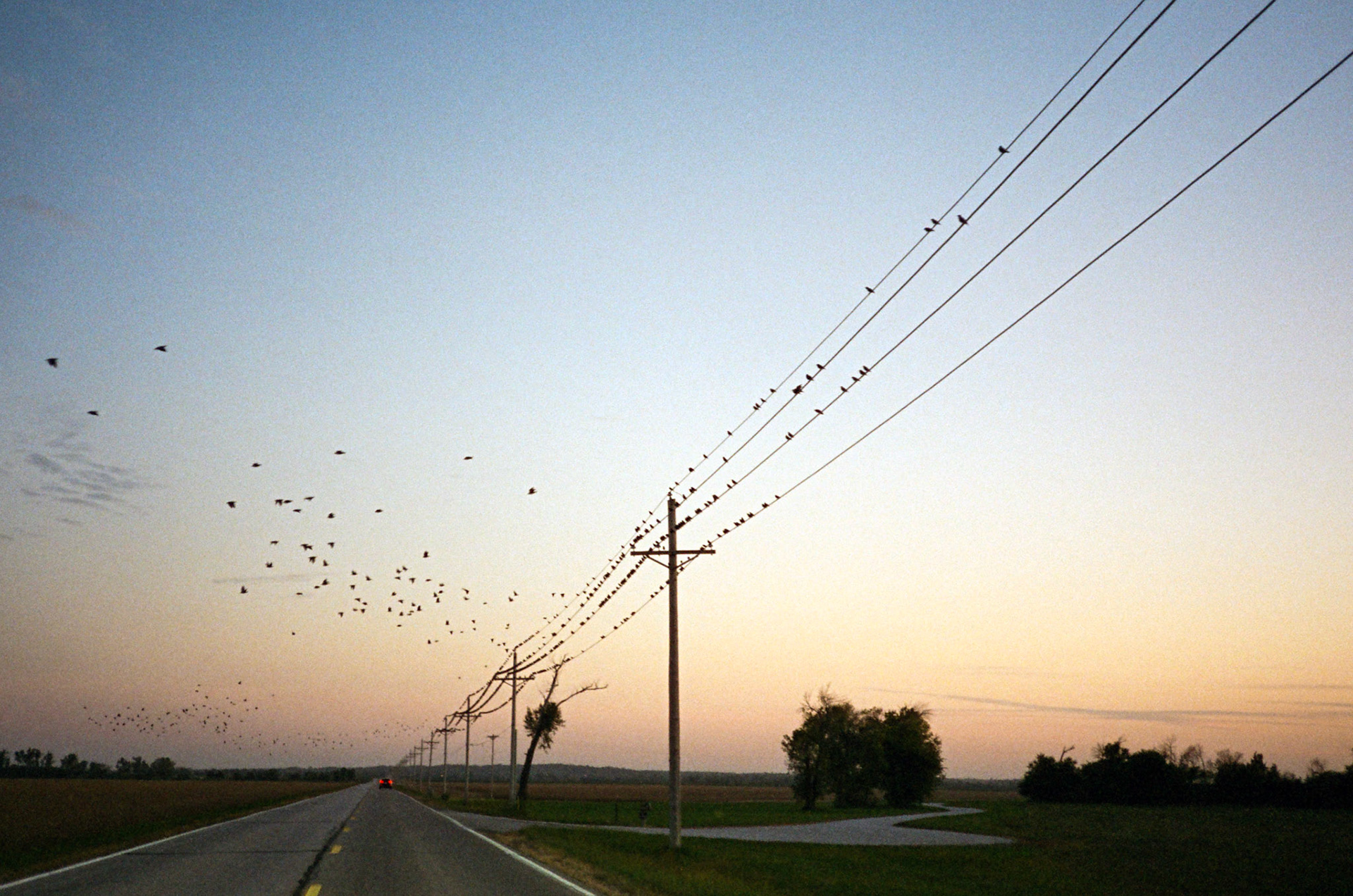 when the money goes, will the honey stay? - Image 37