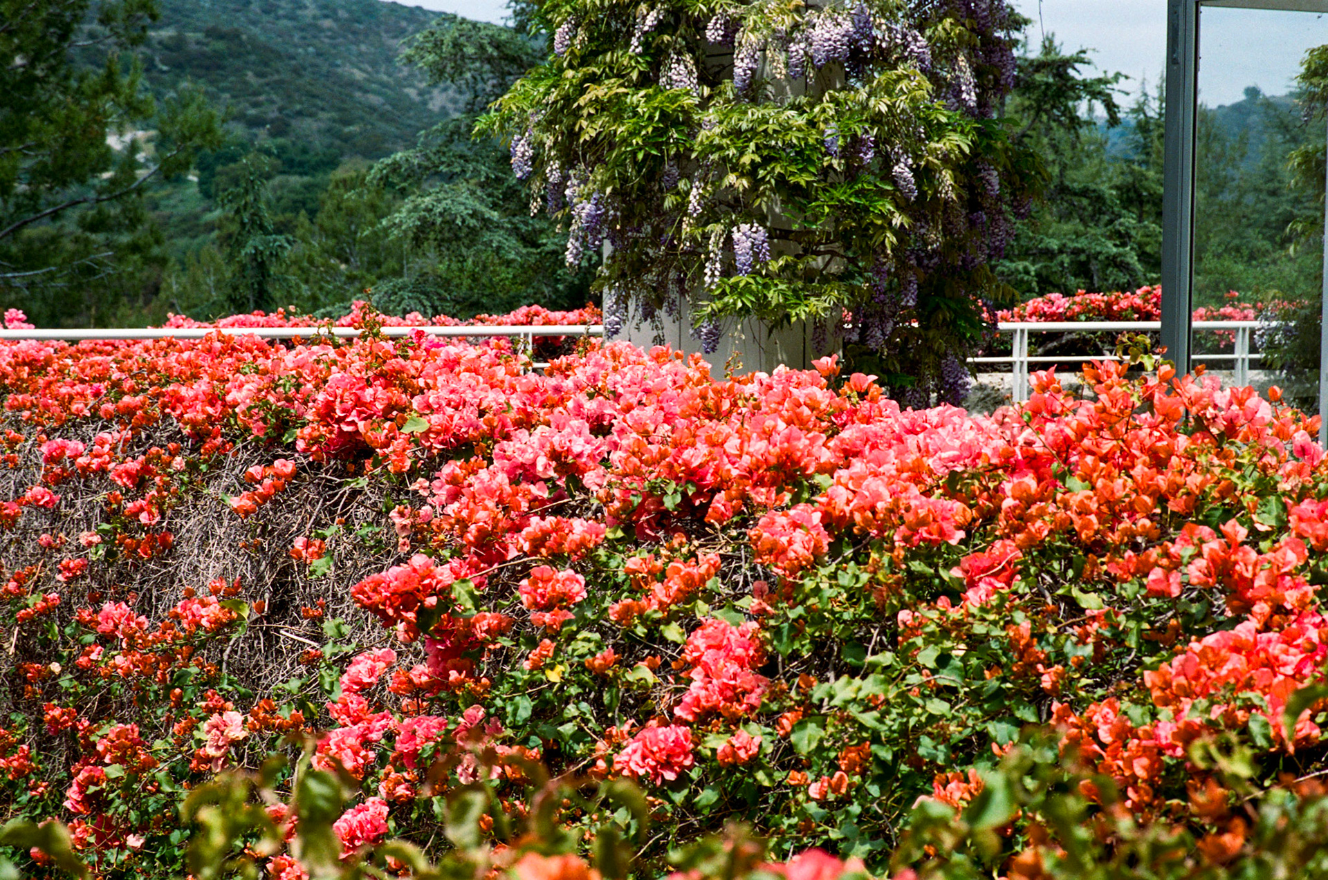 i guess we just go get 'em - Image 52