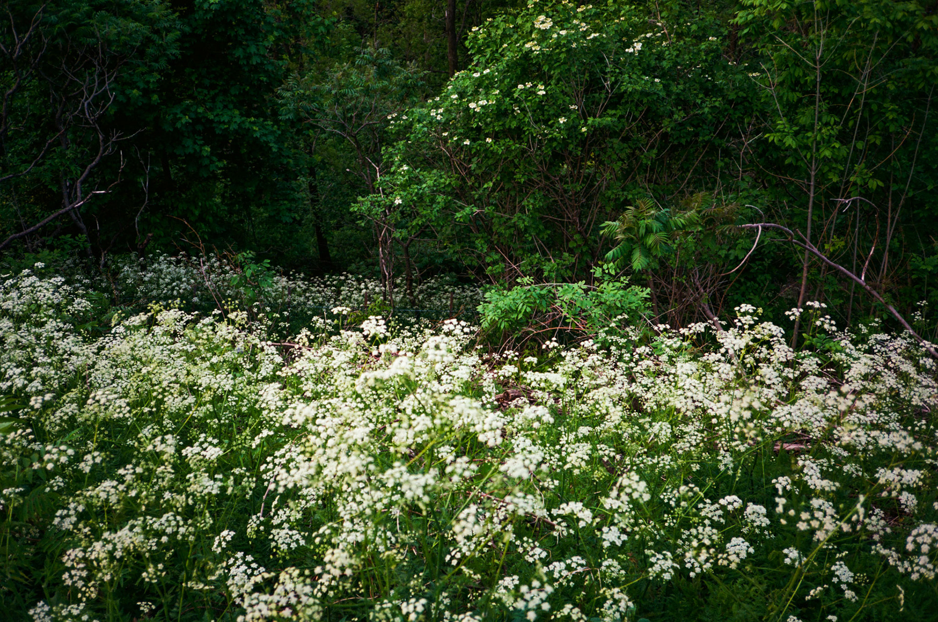 walk out the door - Image 115