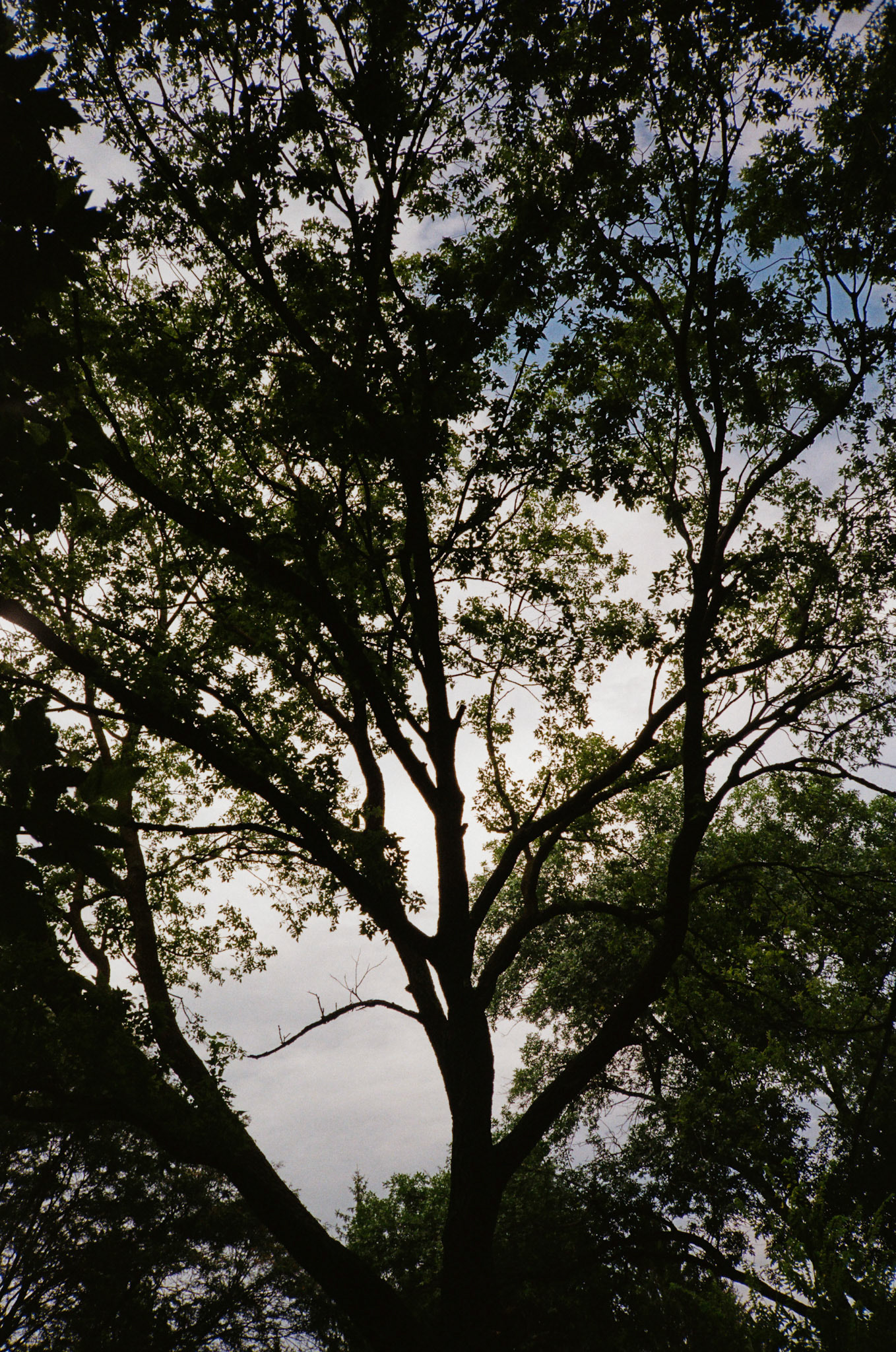 how fast can it go? - Image 40