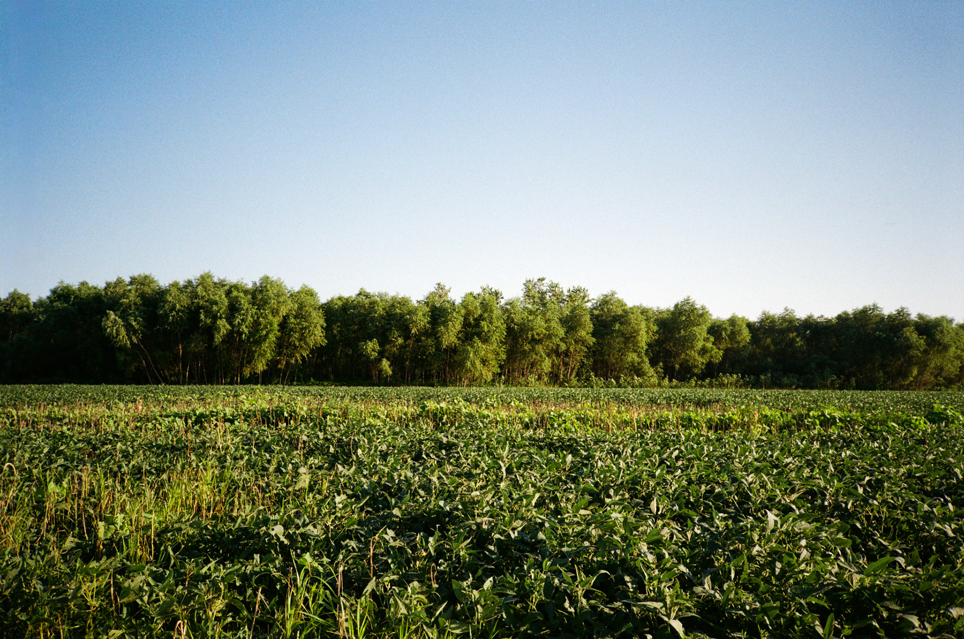 how fast can it go? - Image 20