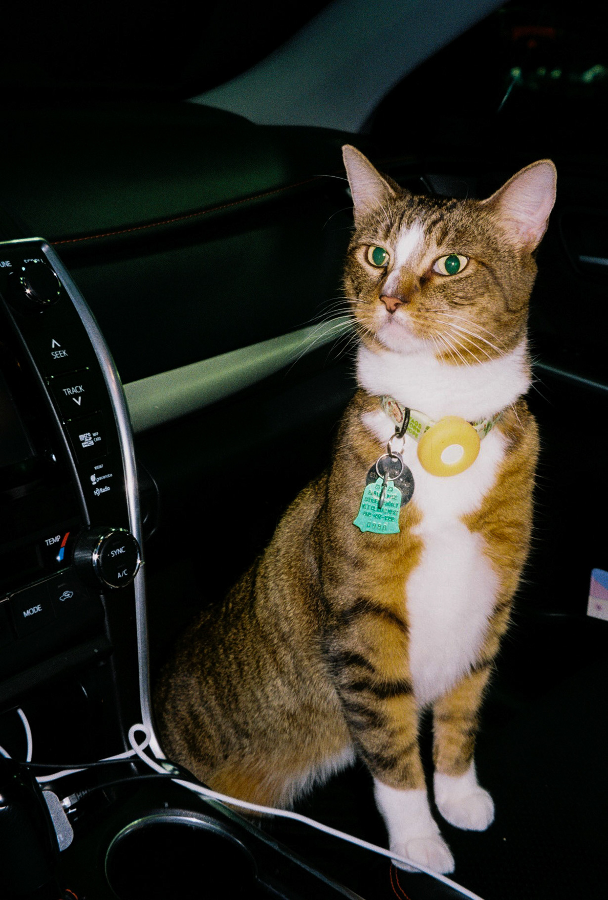 take me all the way - Image 37